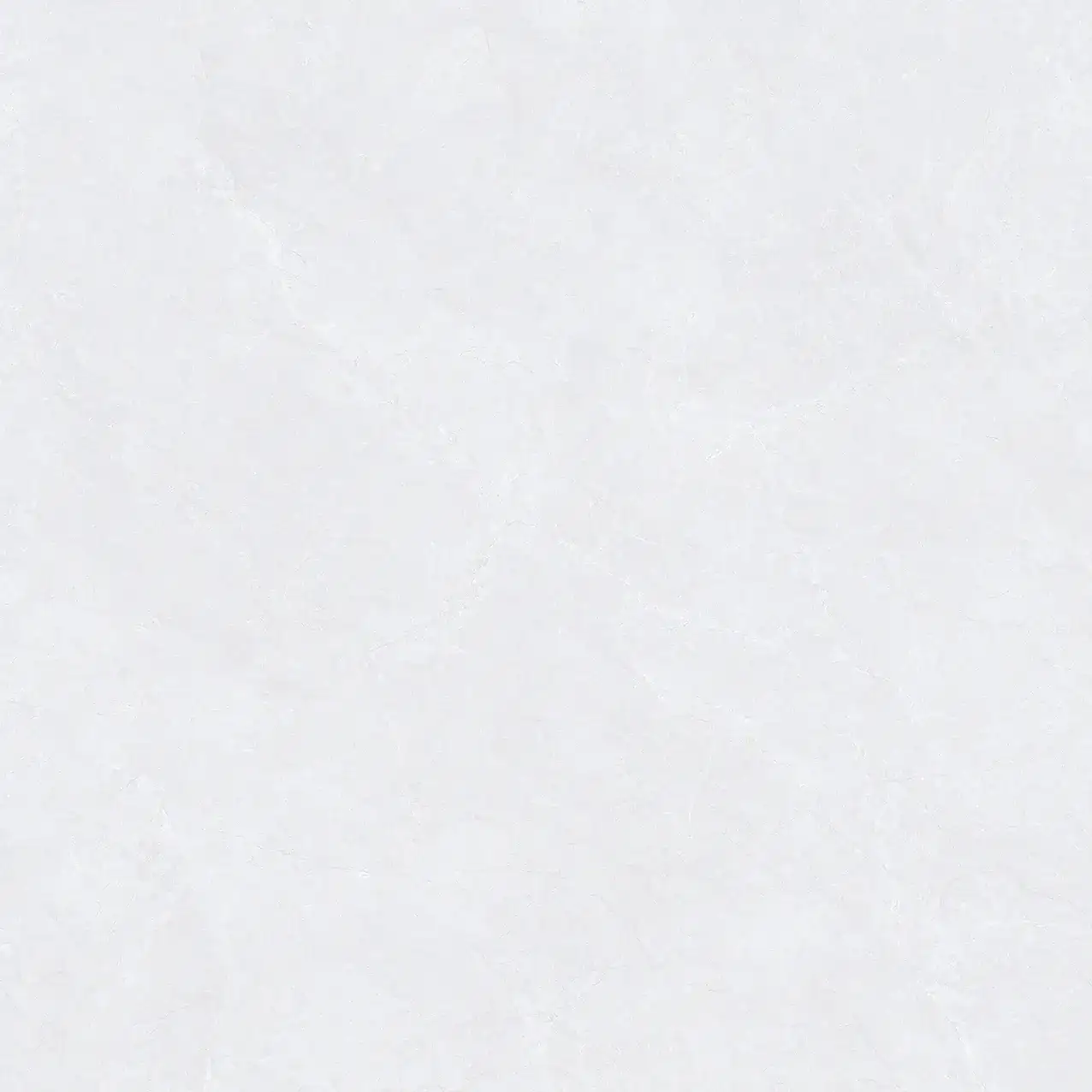 CL25-P101001