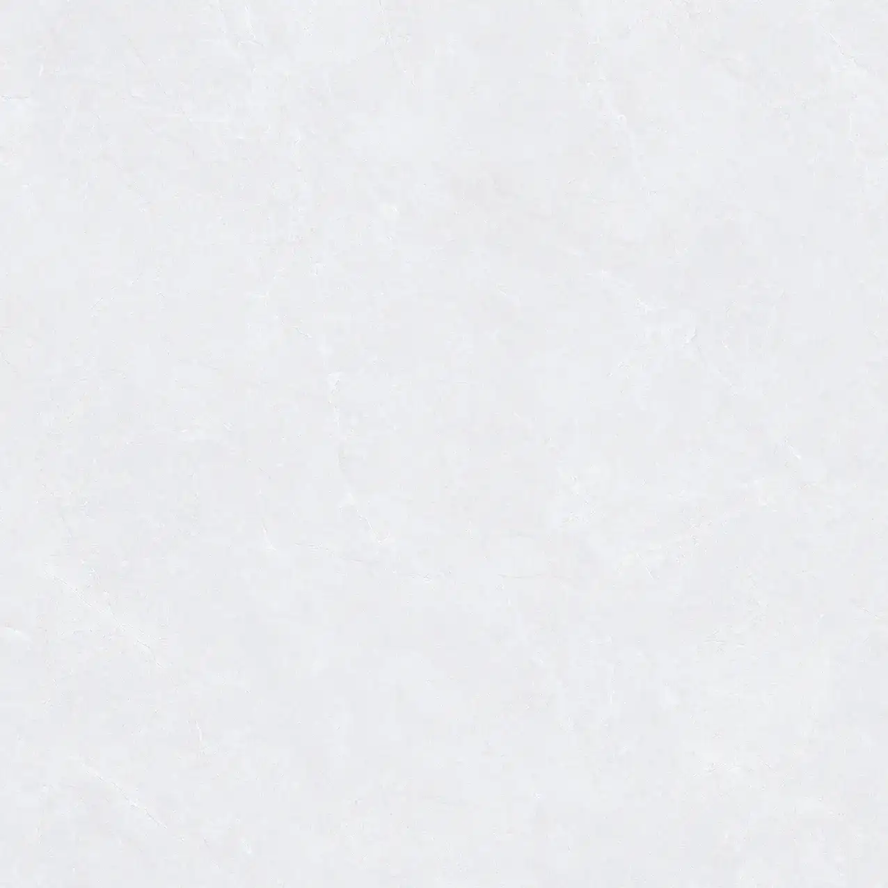 CL25-P101001