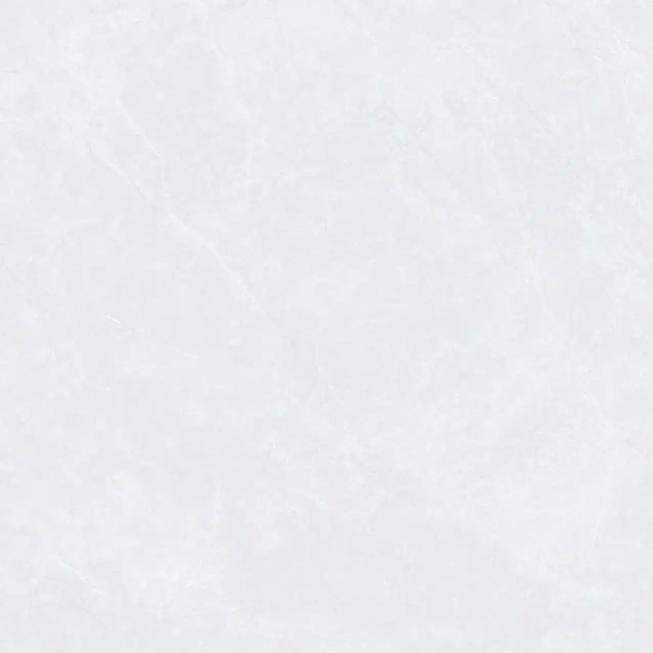 CL25-P101001