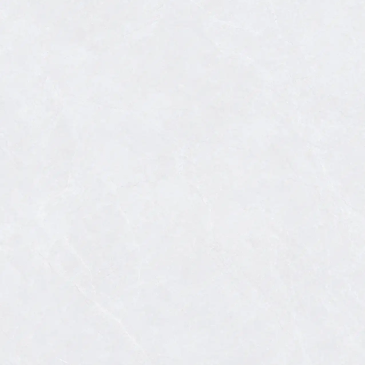CL25-P101001