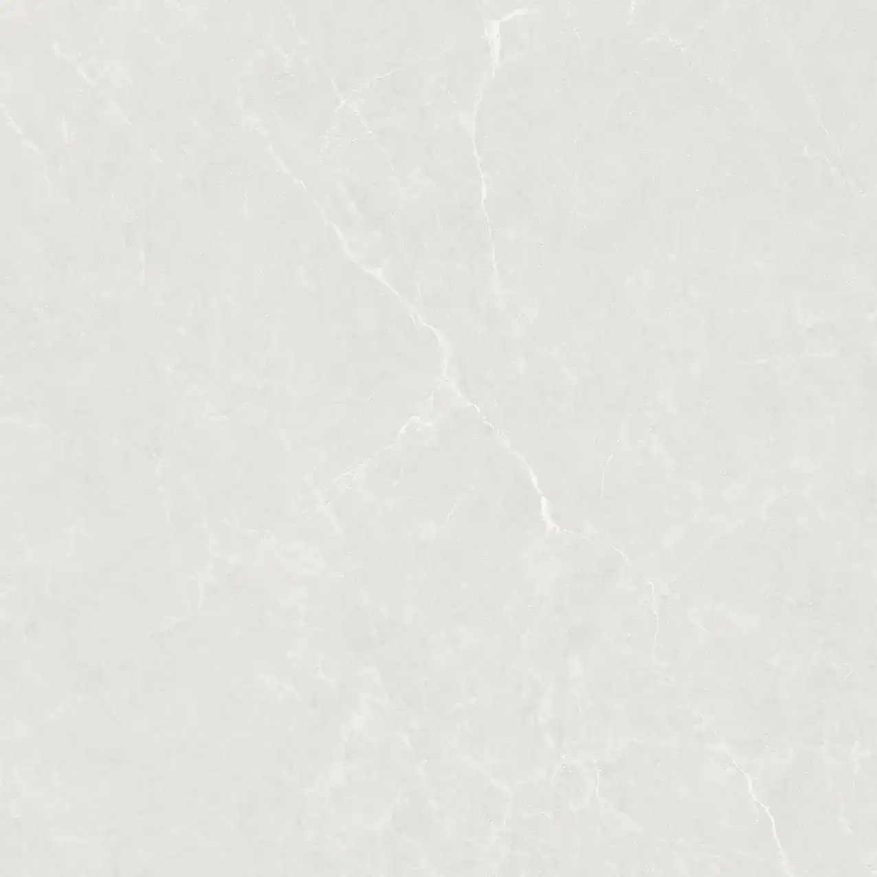 CL25-P101002