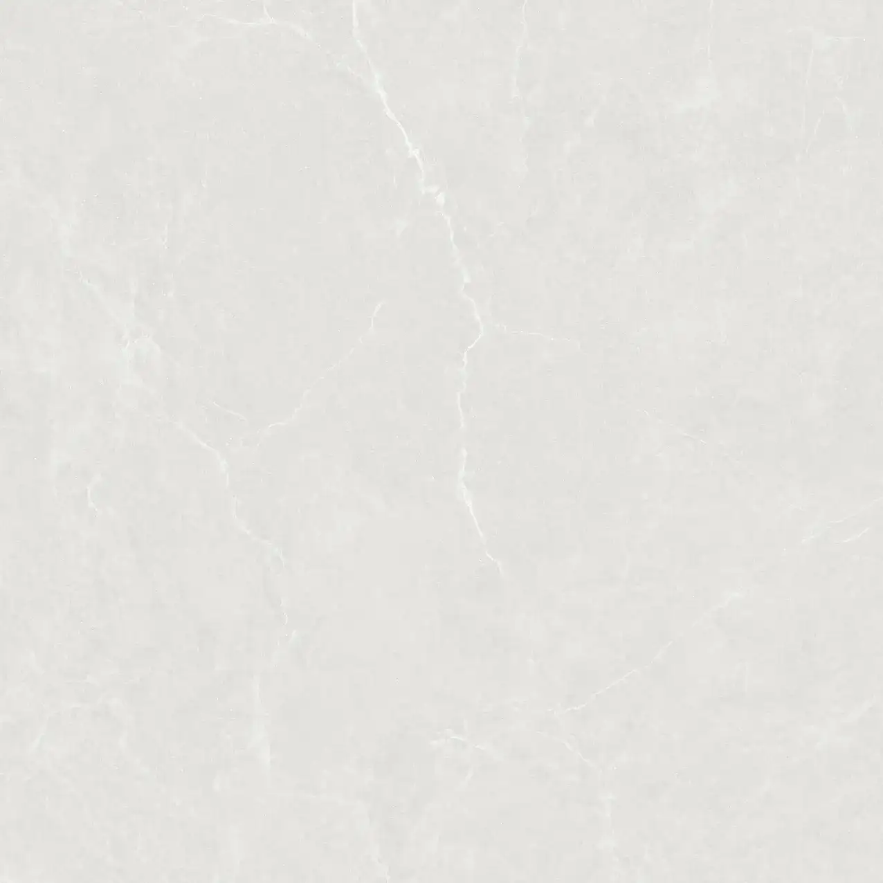 CL25-P101002