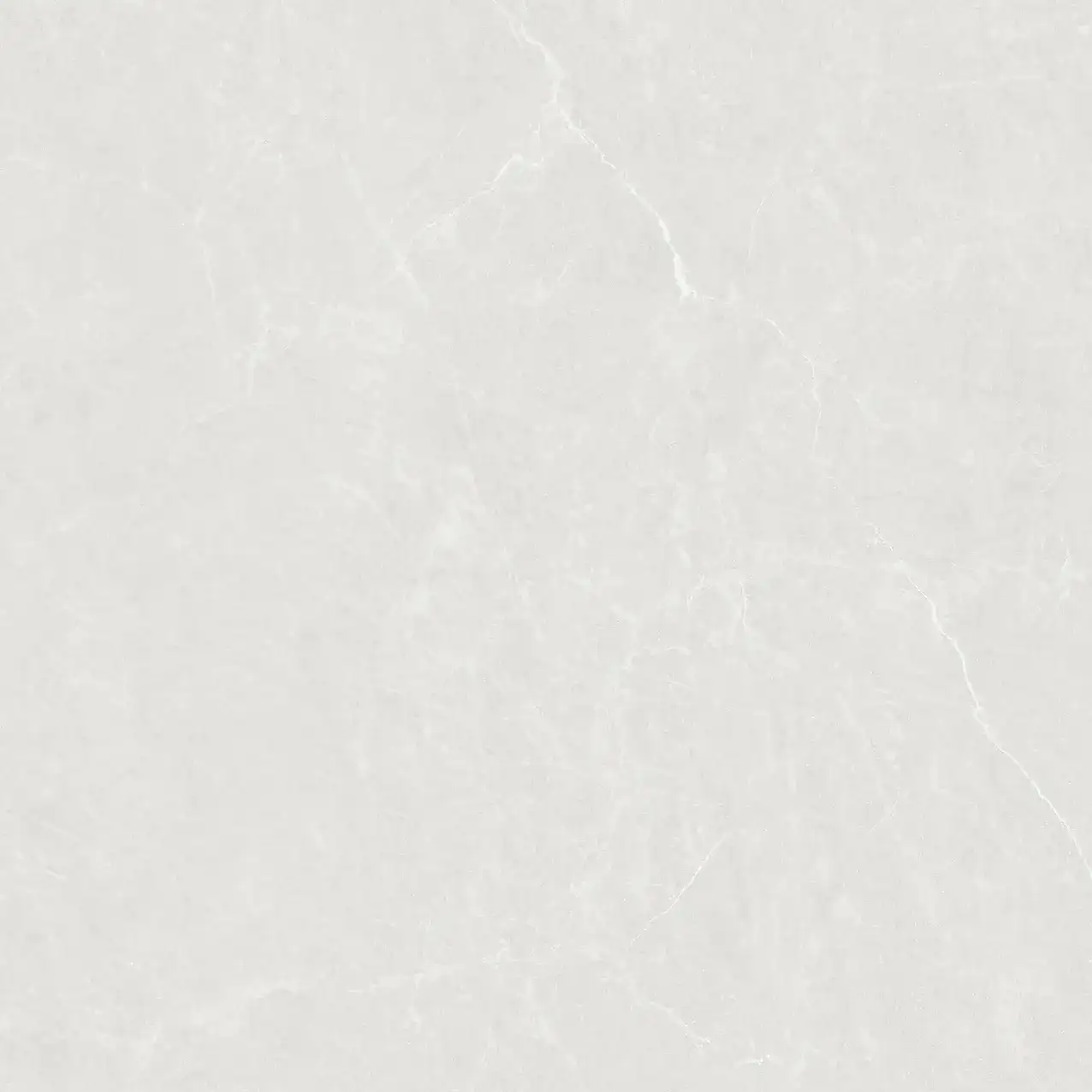 CL25-P101002