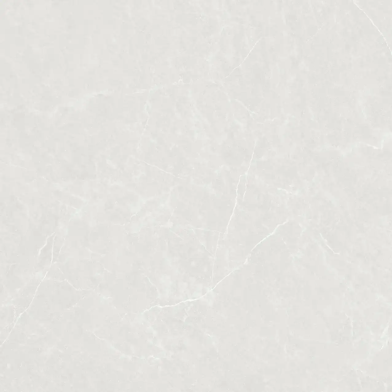CL25-P101002