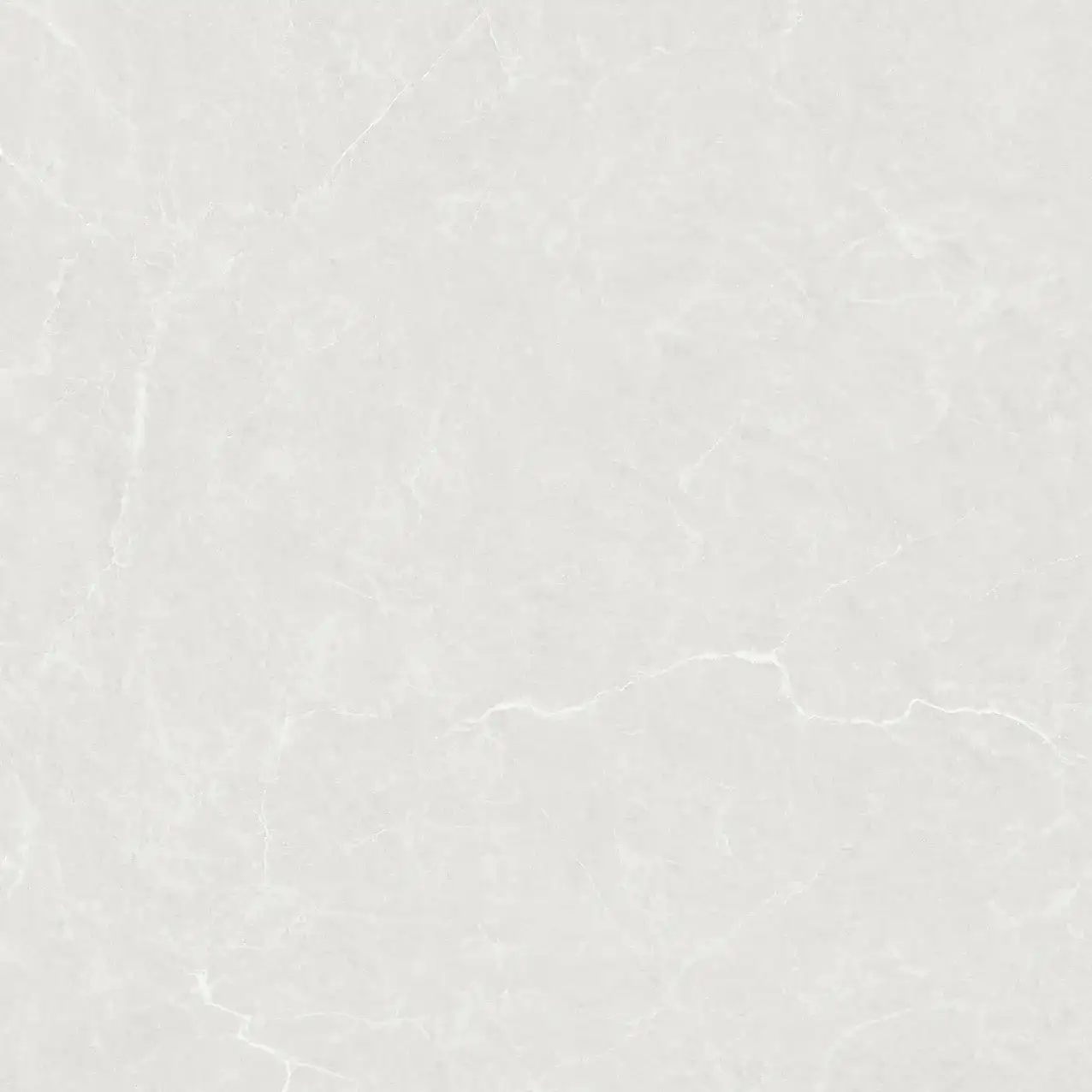CL25-P101002