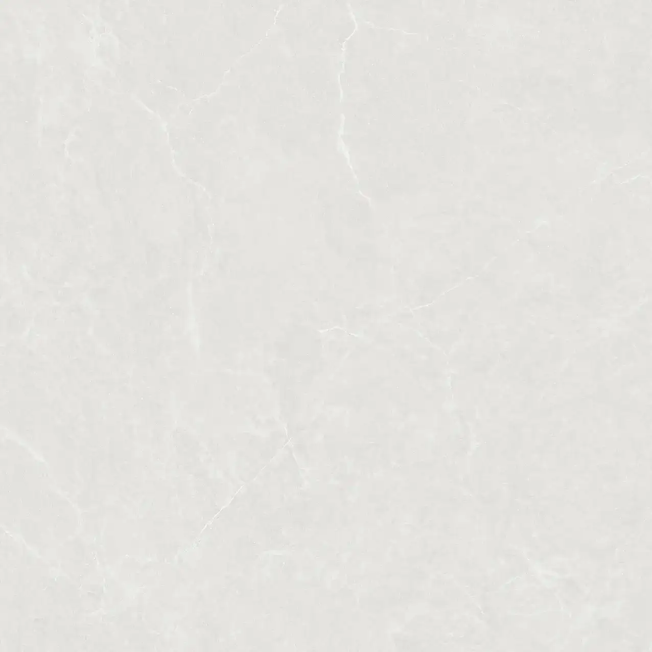CL25-P101002