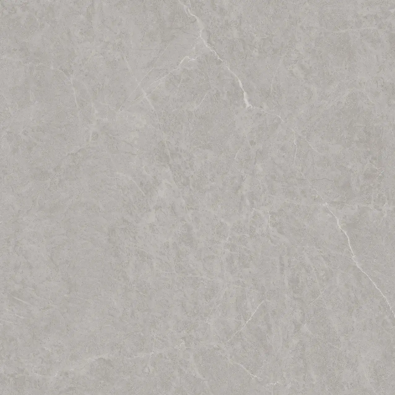 CL25-P101003