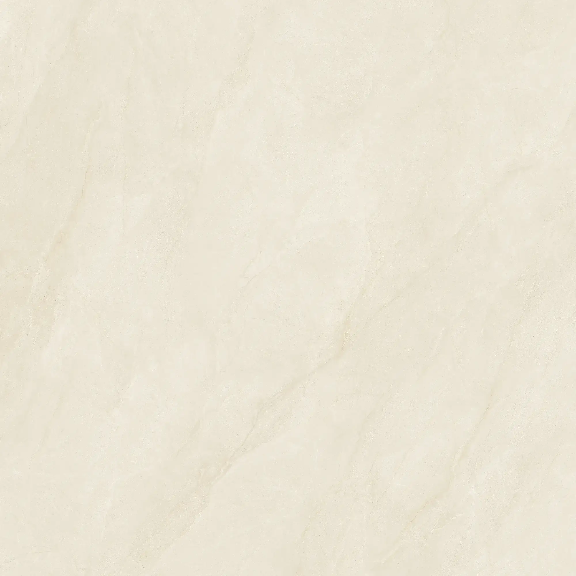 CL26 P121223