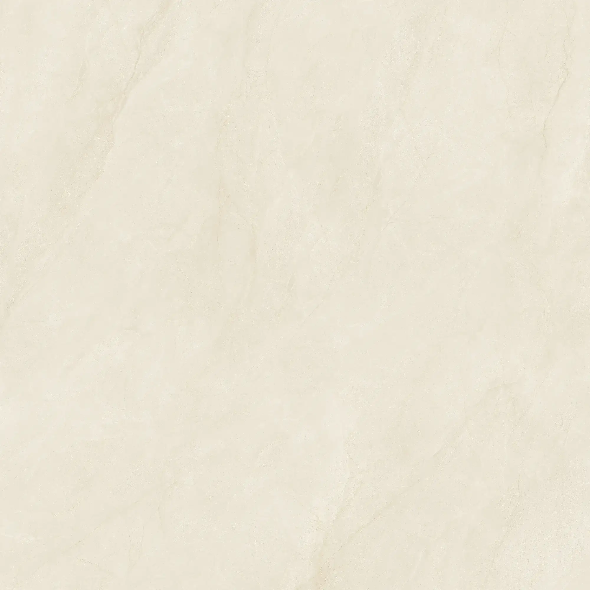 CL26 P121223