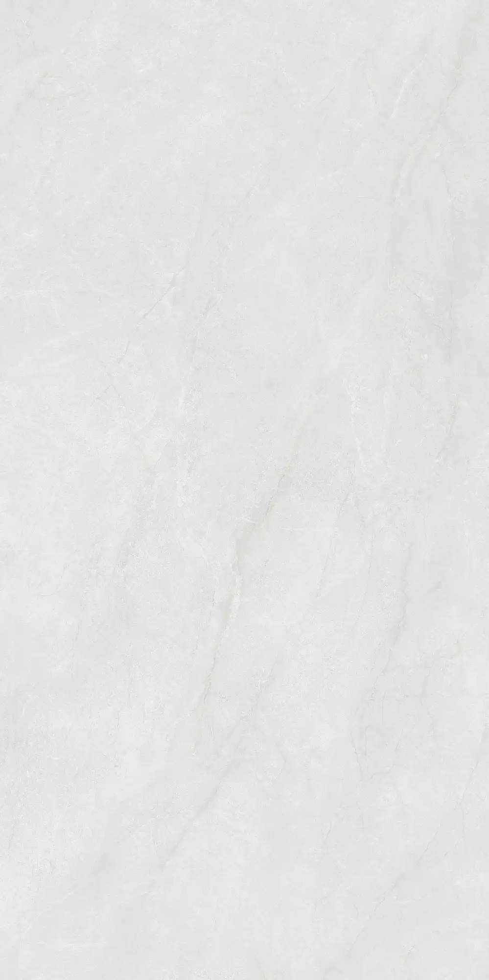 CL26 P61221