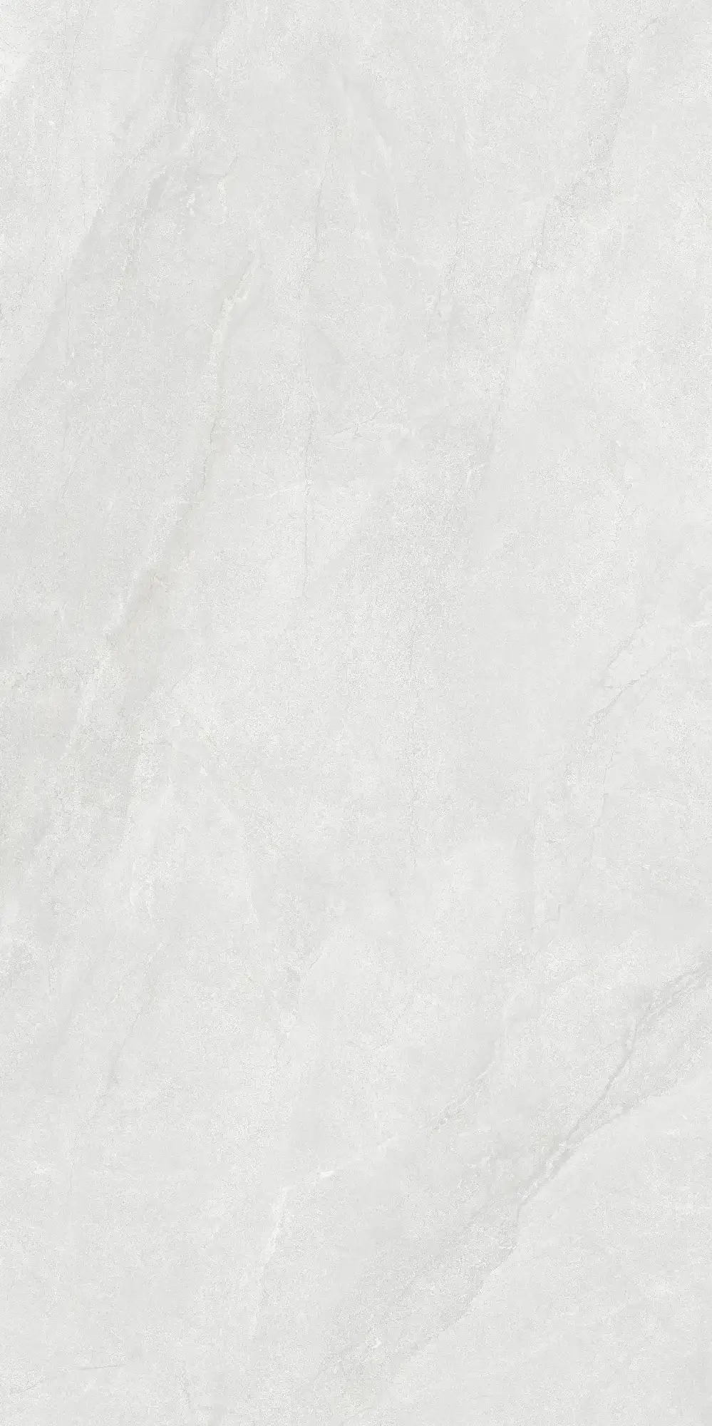 CL26 P61221