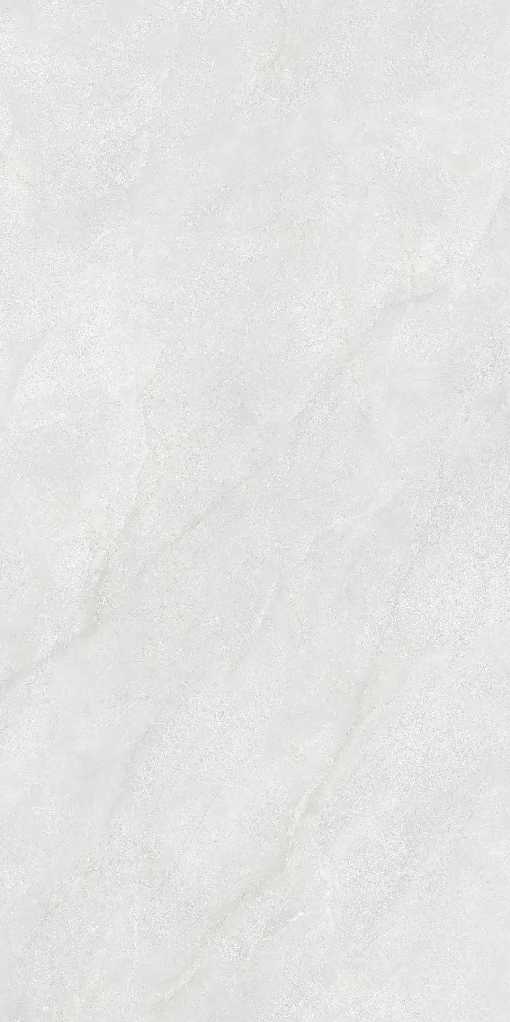CL26 P61221