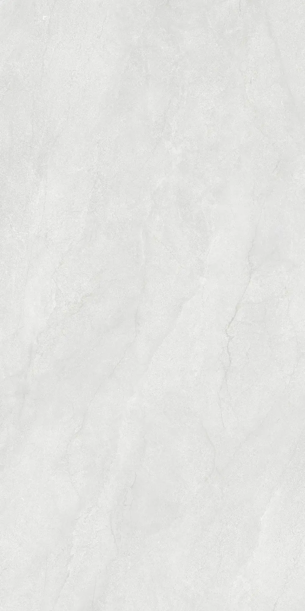 CL26 P61221