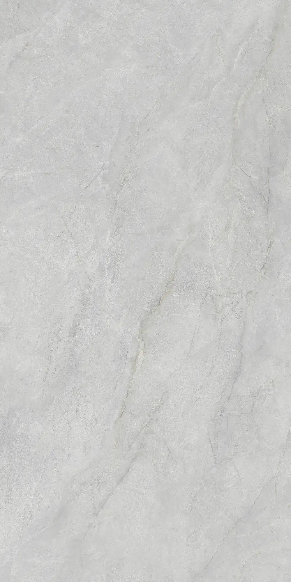 CL26 P61222