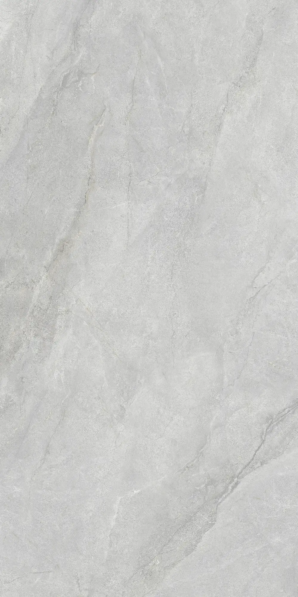 CL26 P61222