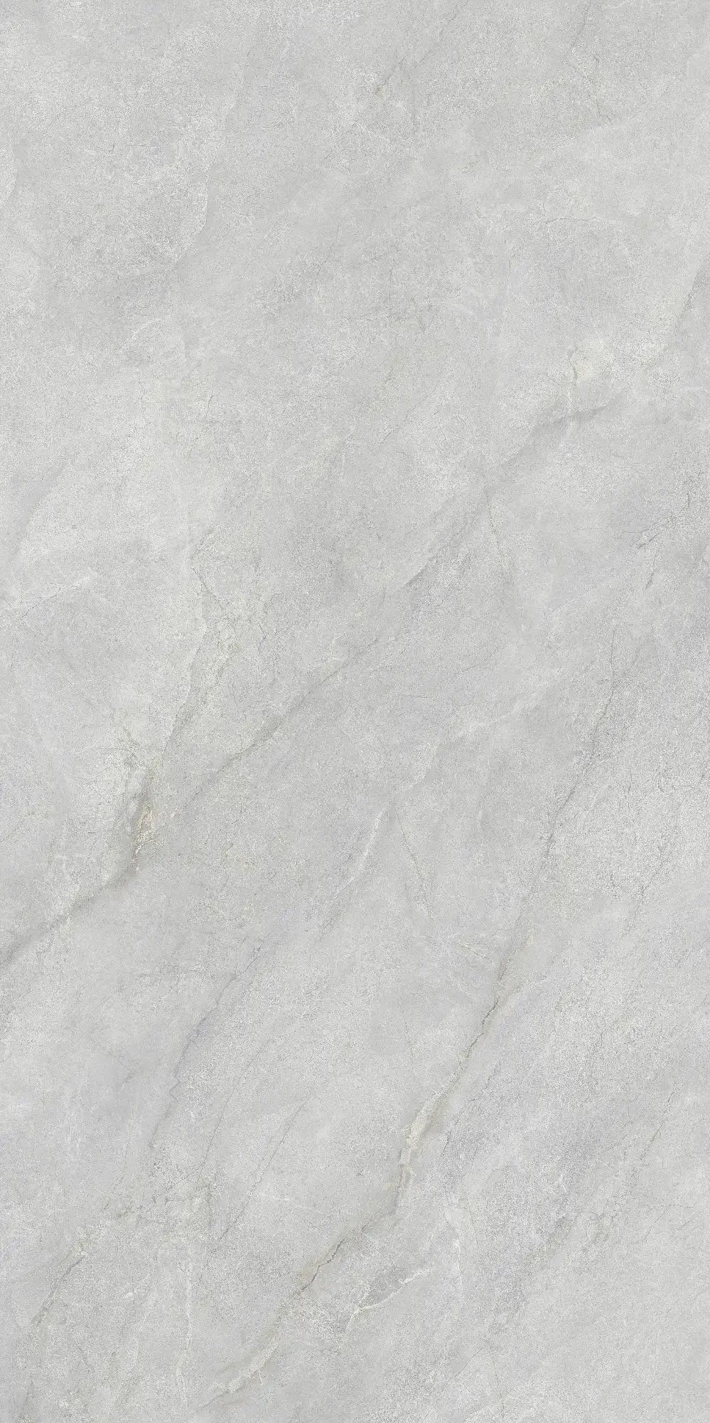 CL26 P61222