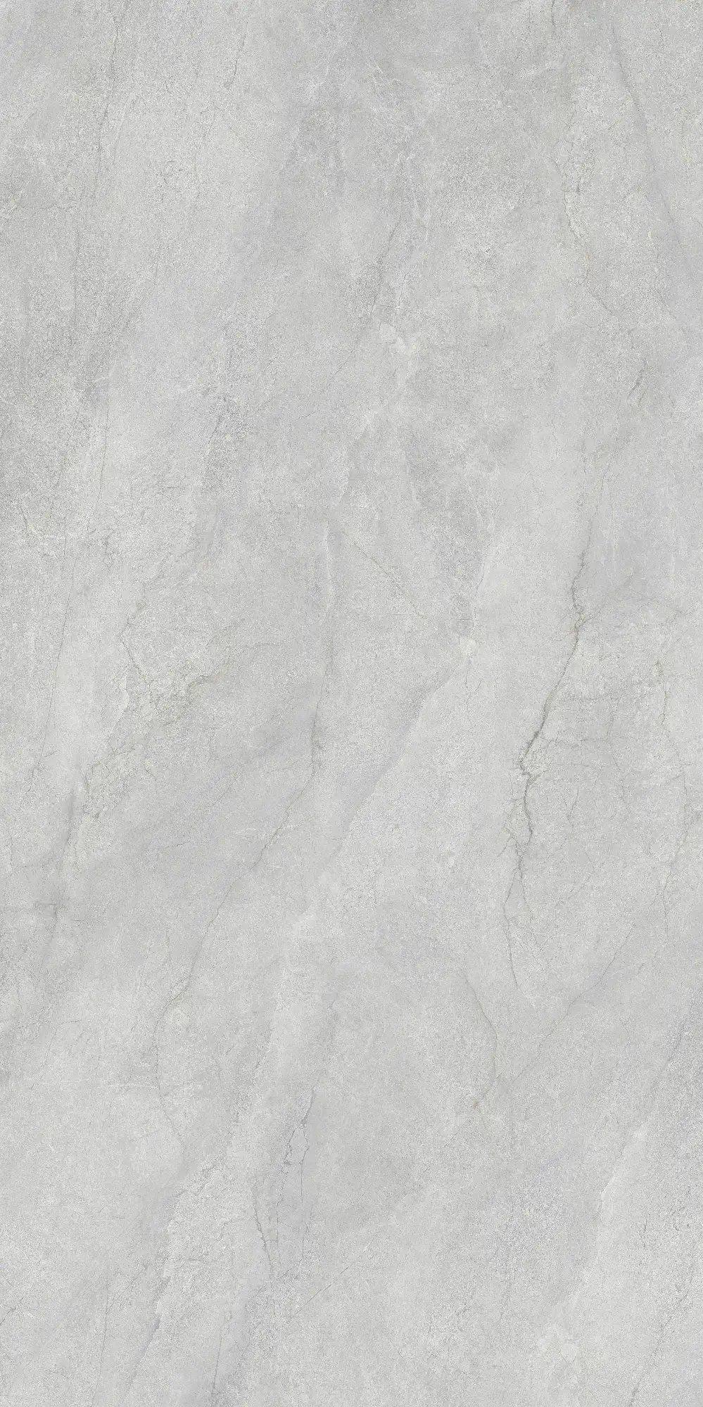 CL26 P61222