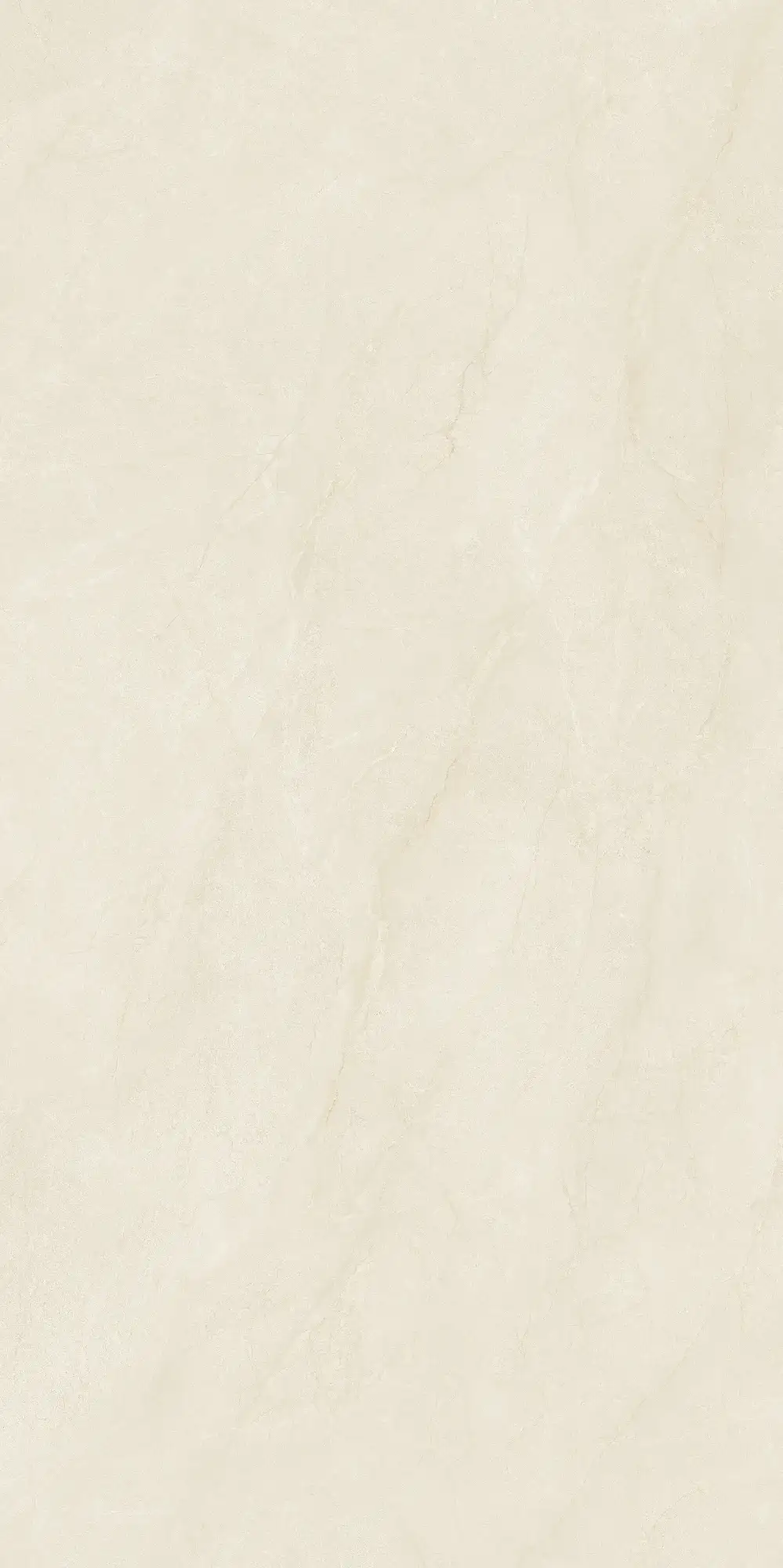 CL26 P61223