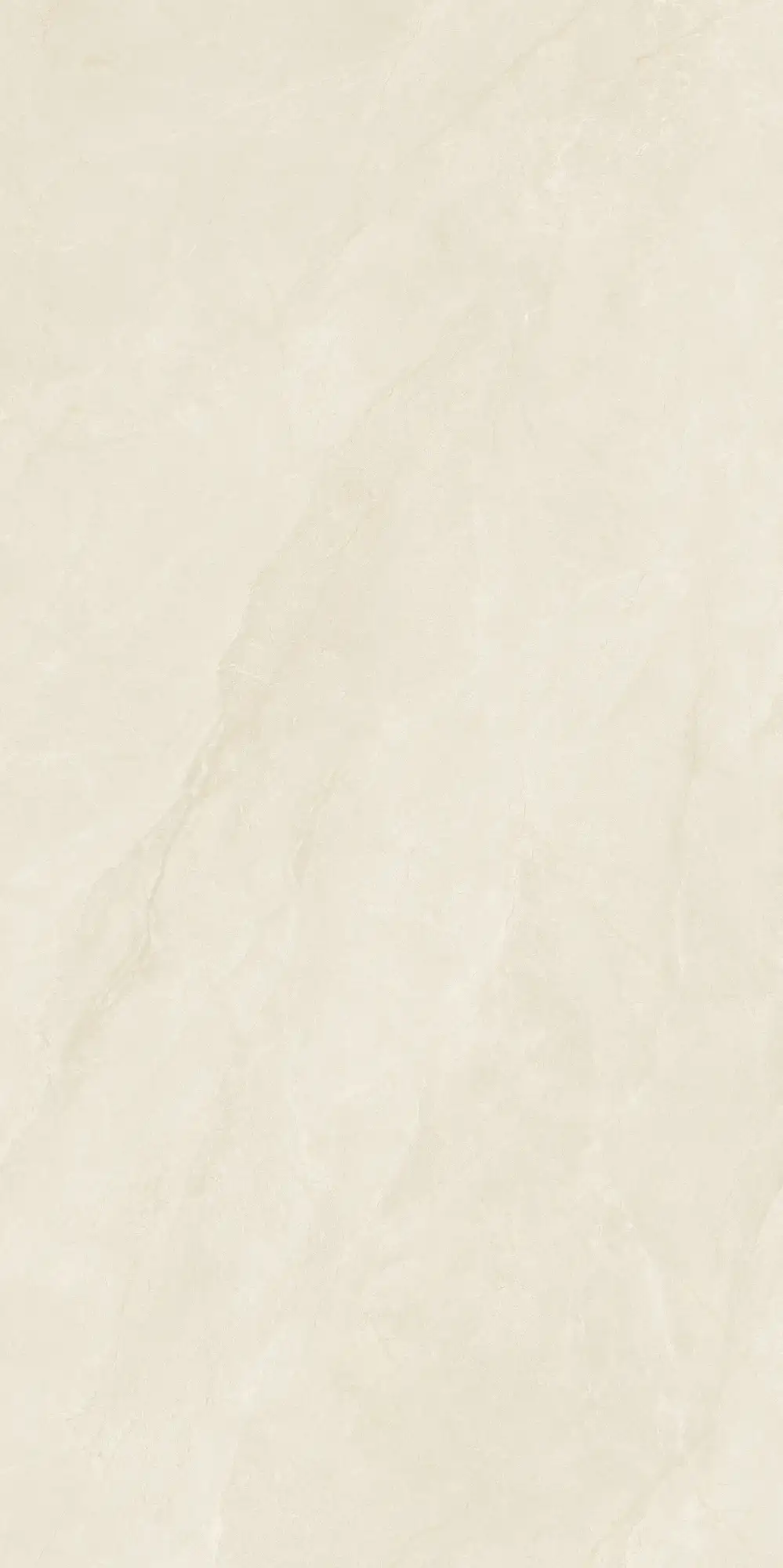 CL26 P61223