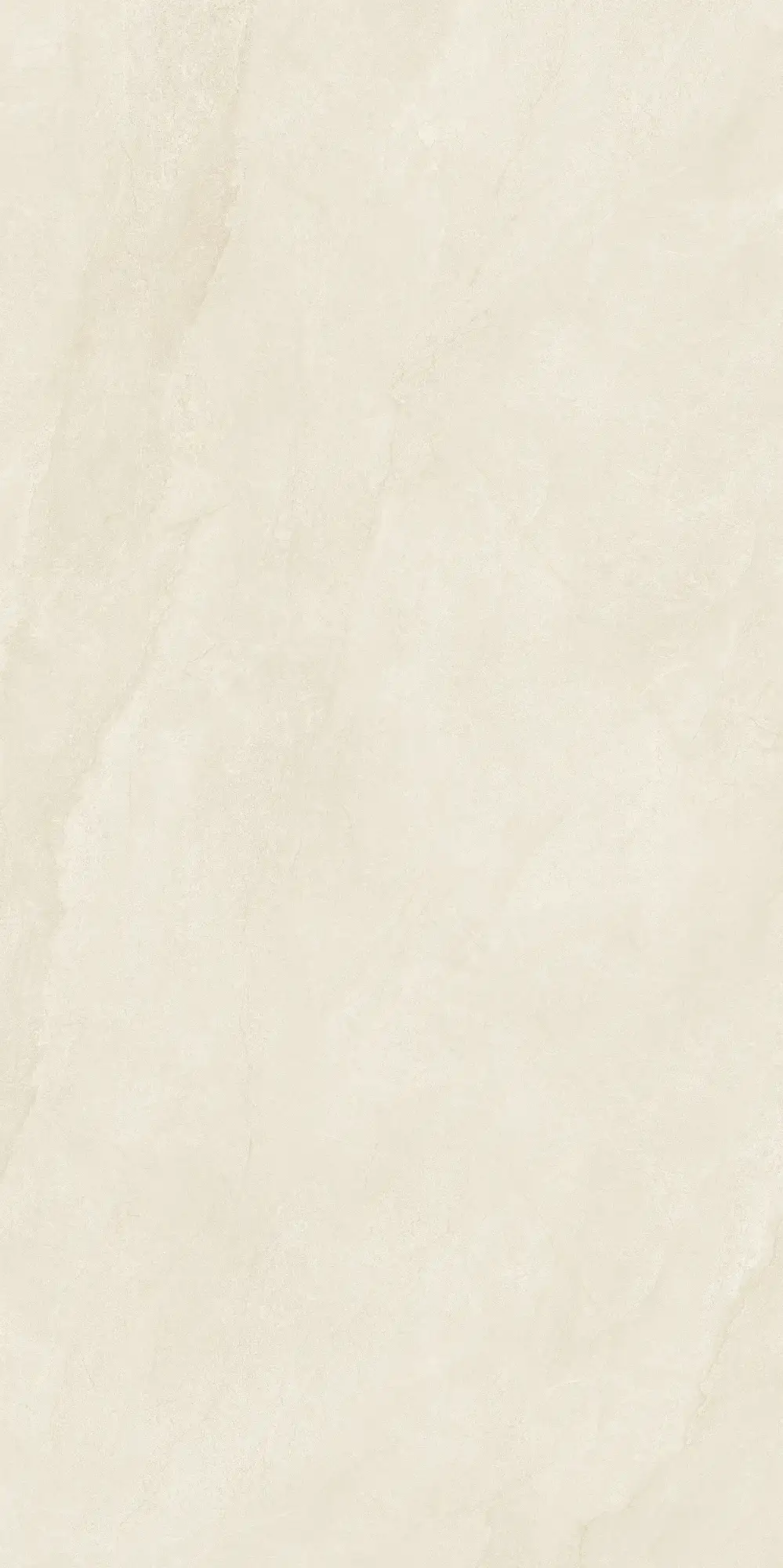 CL26 P61223