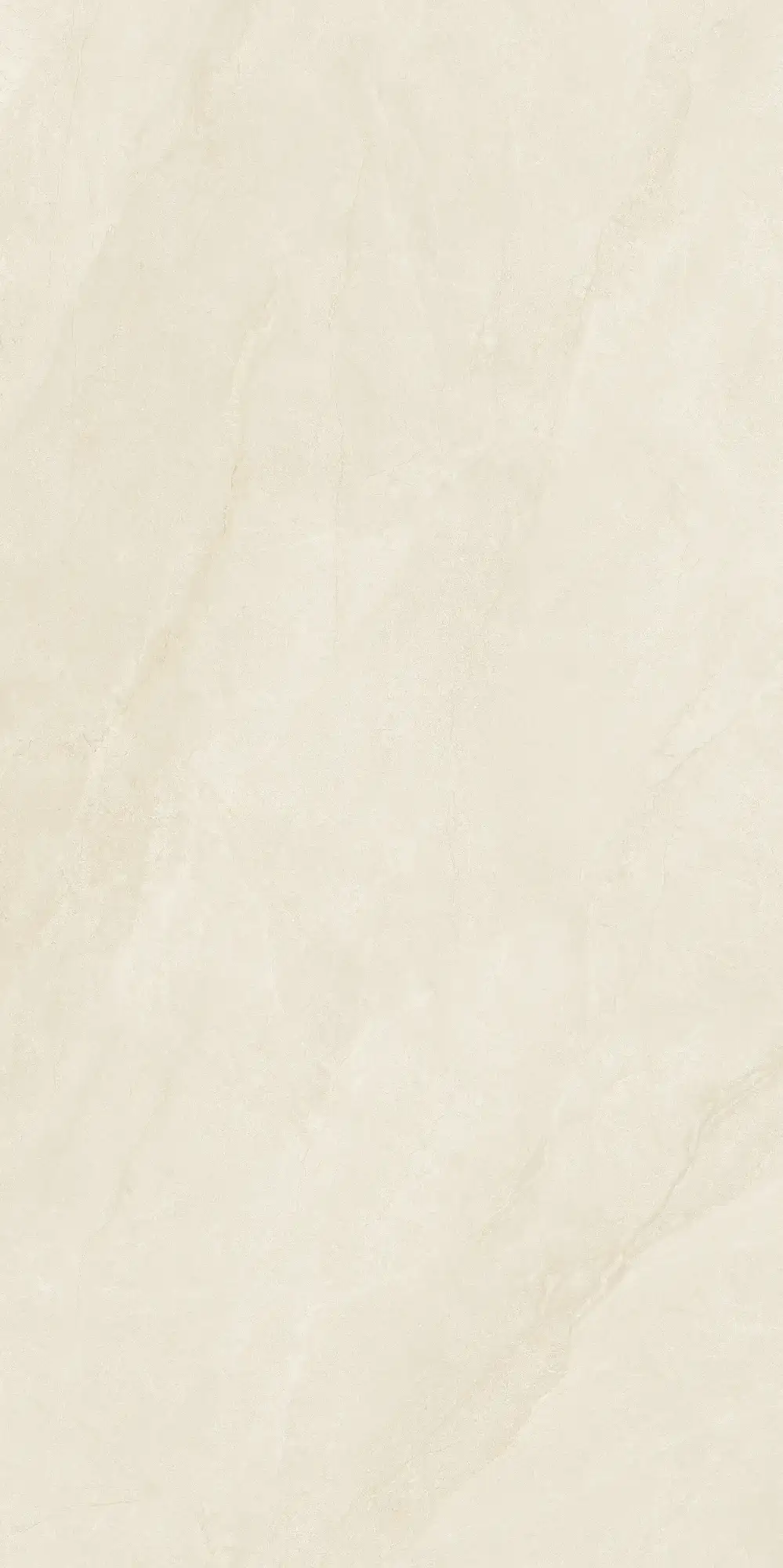 CL26 P61223