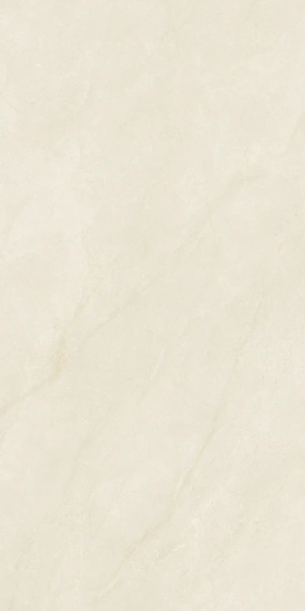 CL26 P61223
