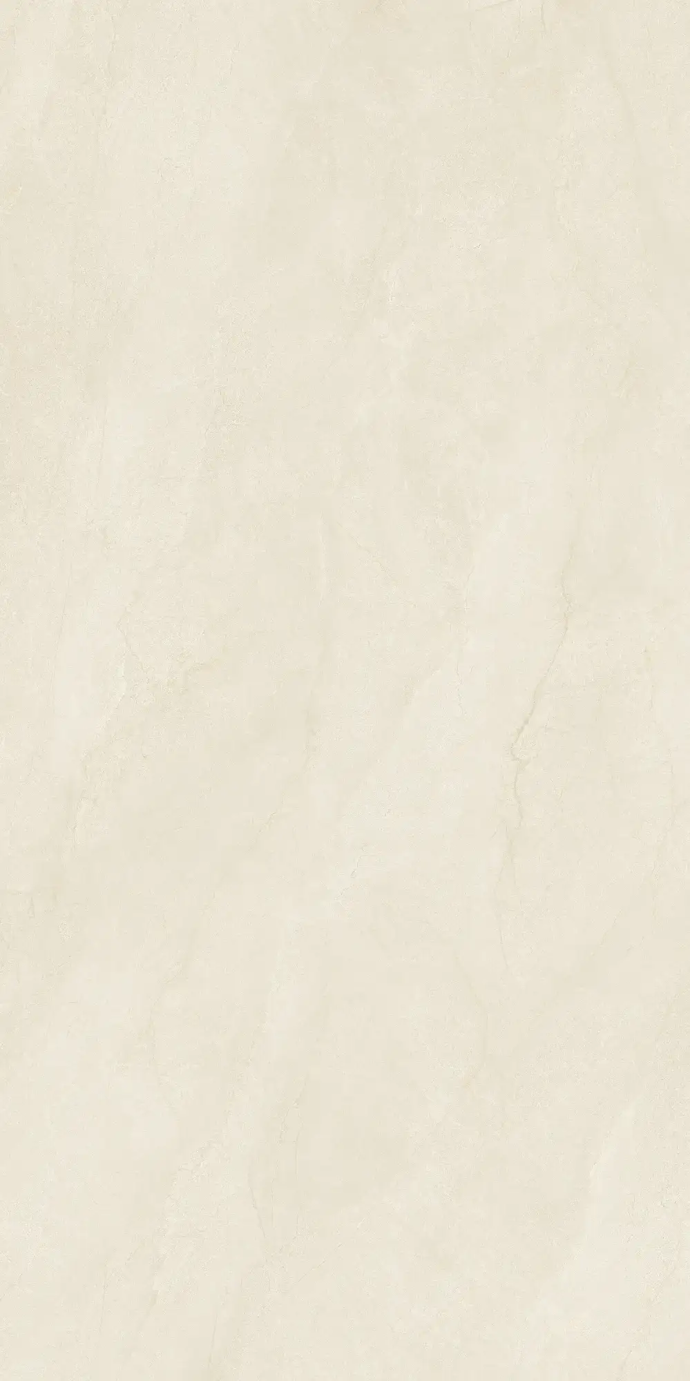 CL26 P61223