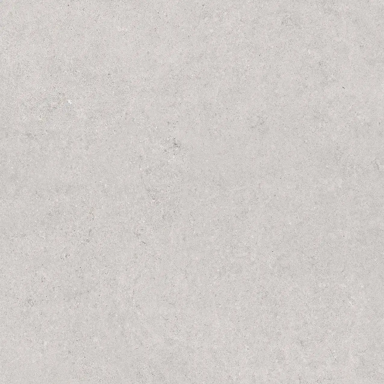 PL2-GP8804