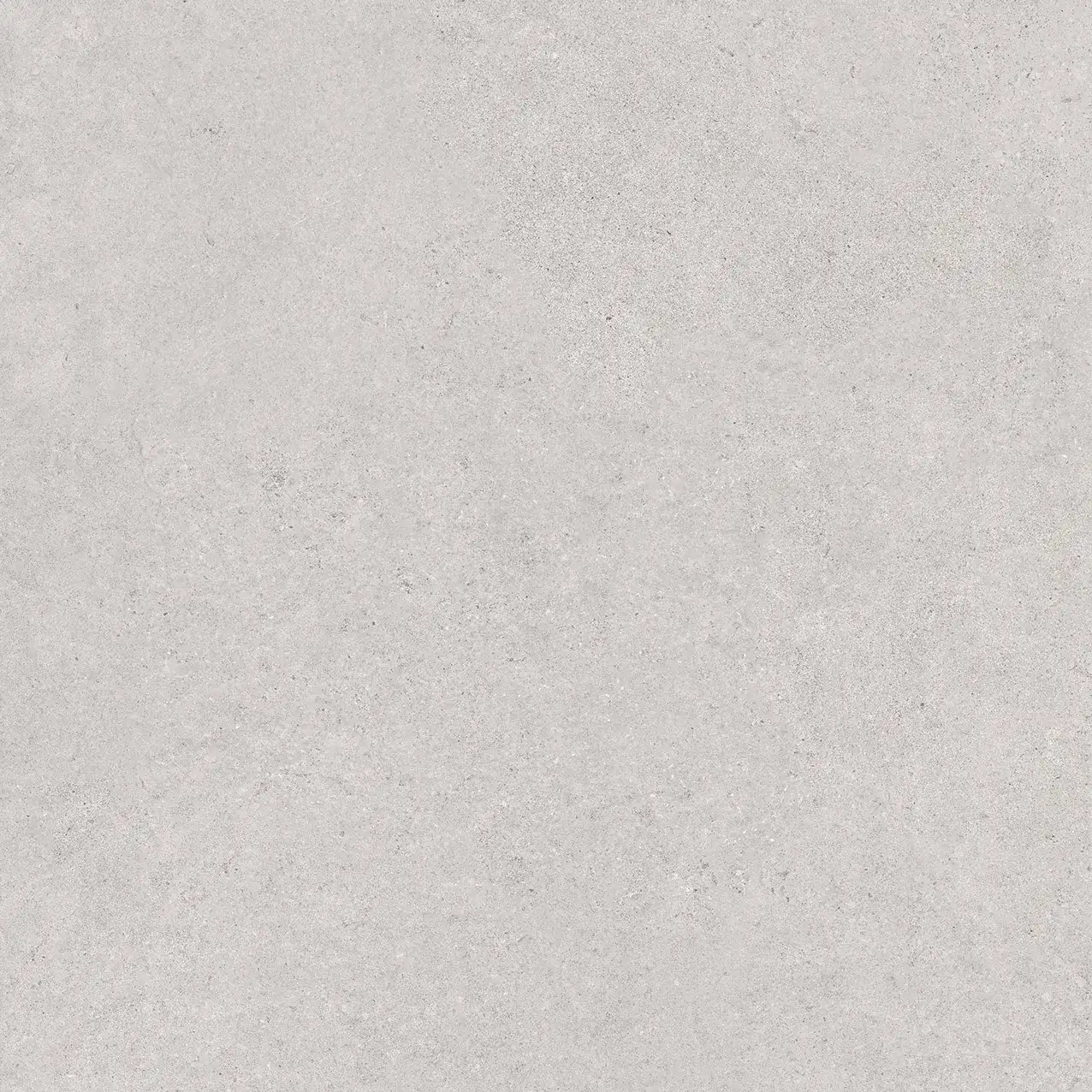 PL2-GP8804