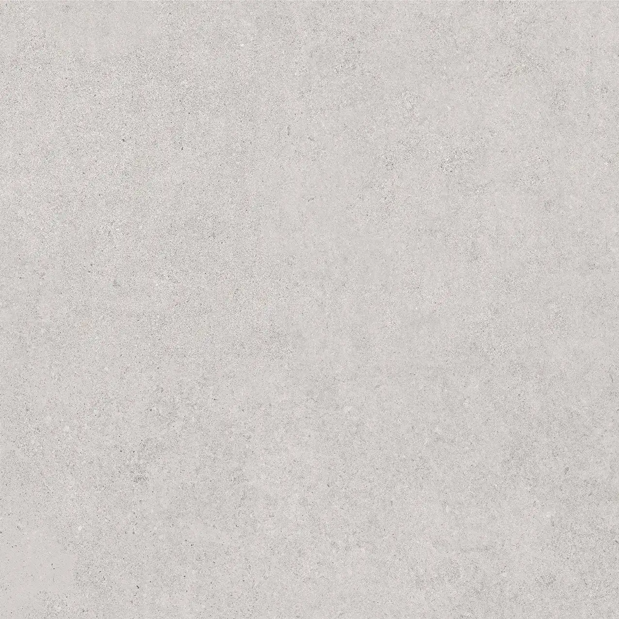 PL2-GP8804