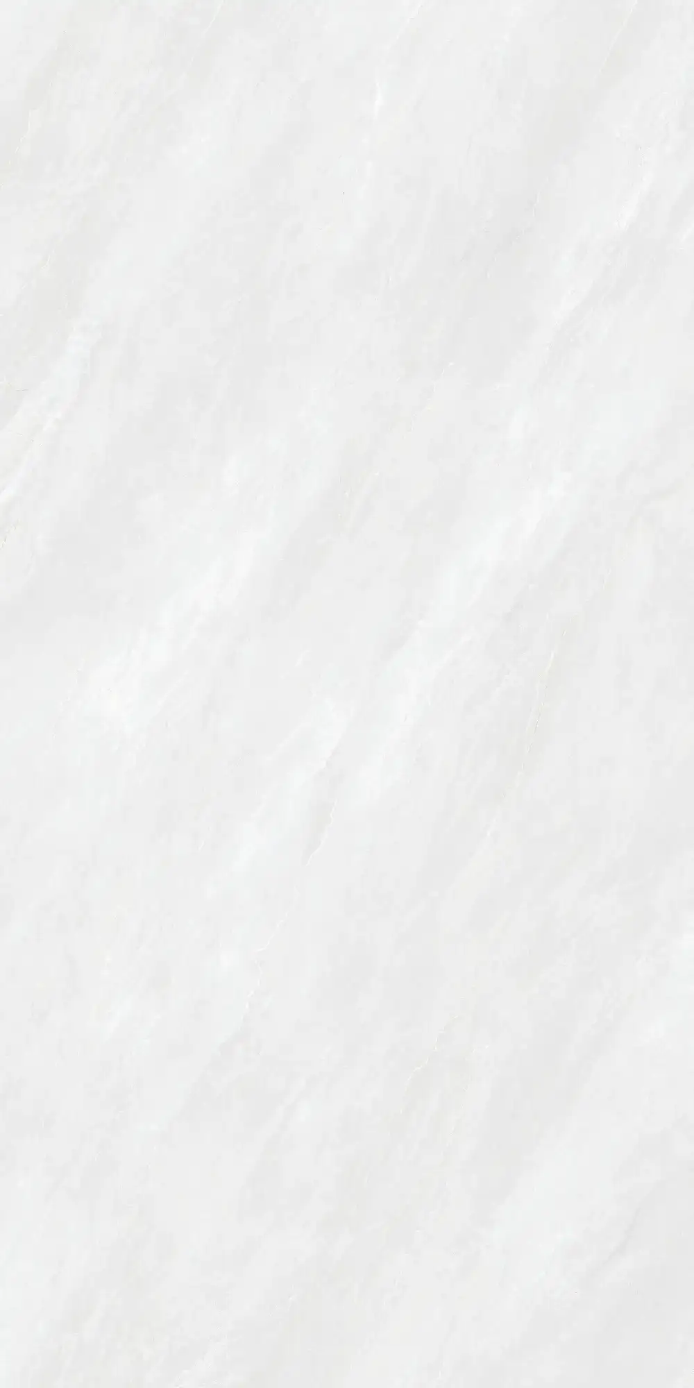 CA26 P61221