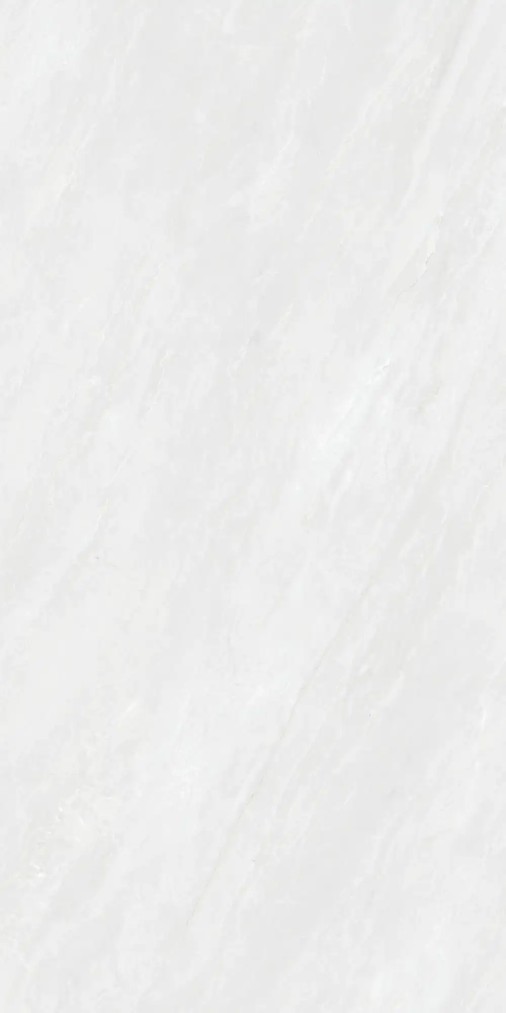 CA26 P61221