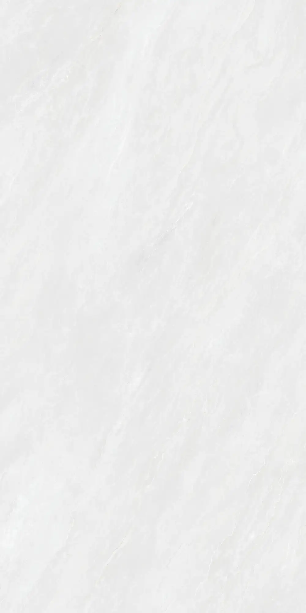 CA26 P61221