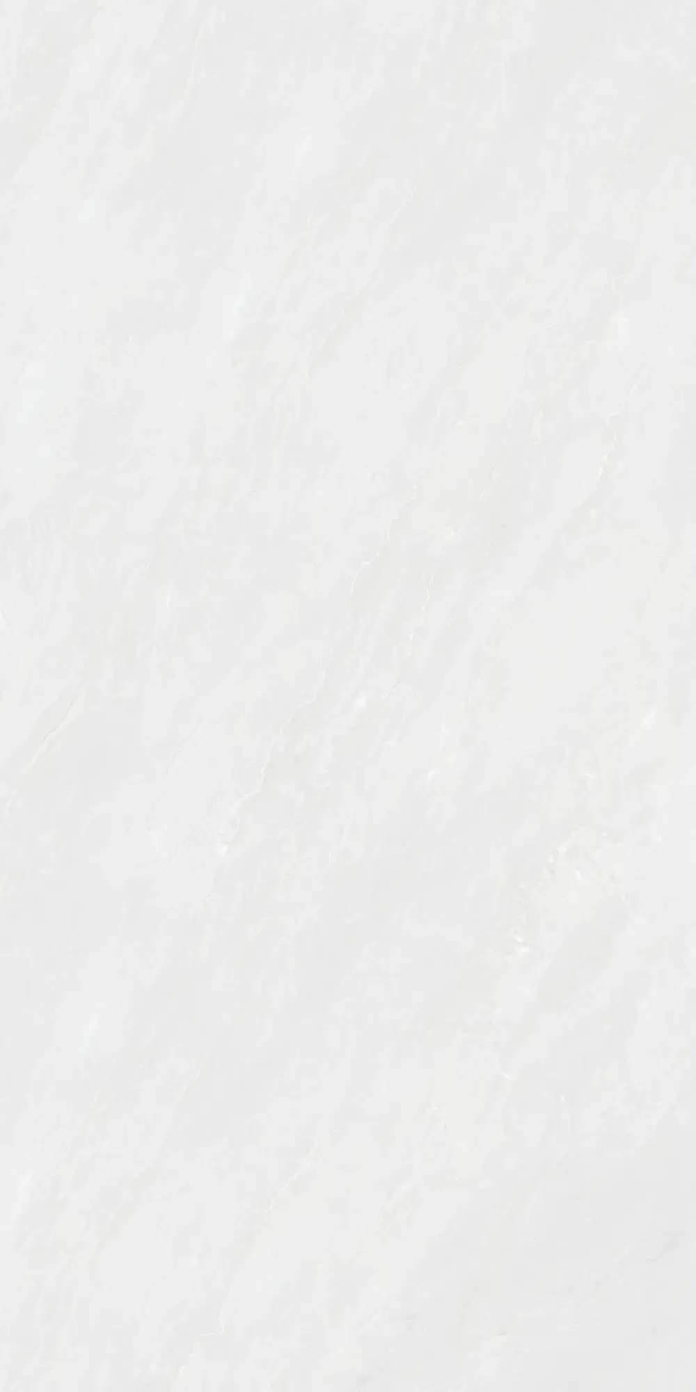 CA26 P61221
