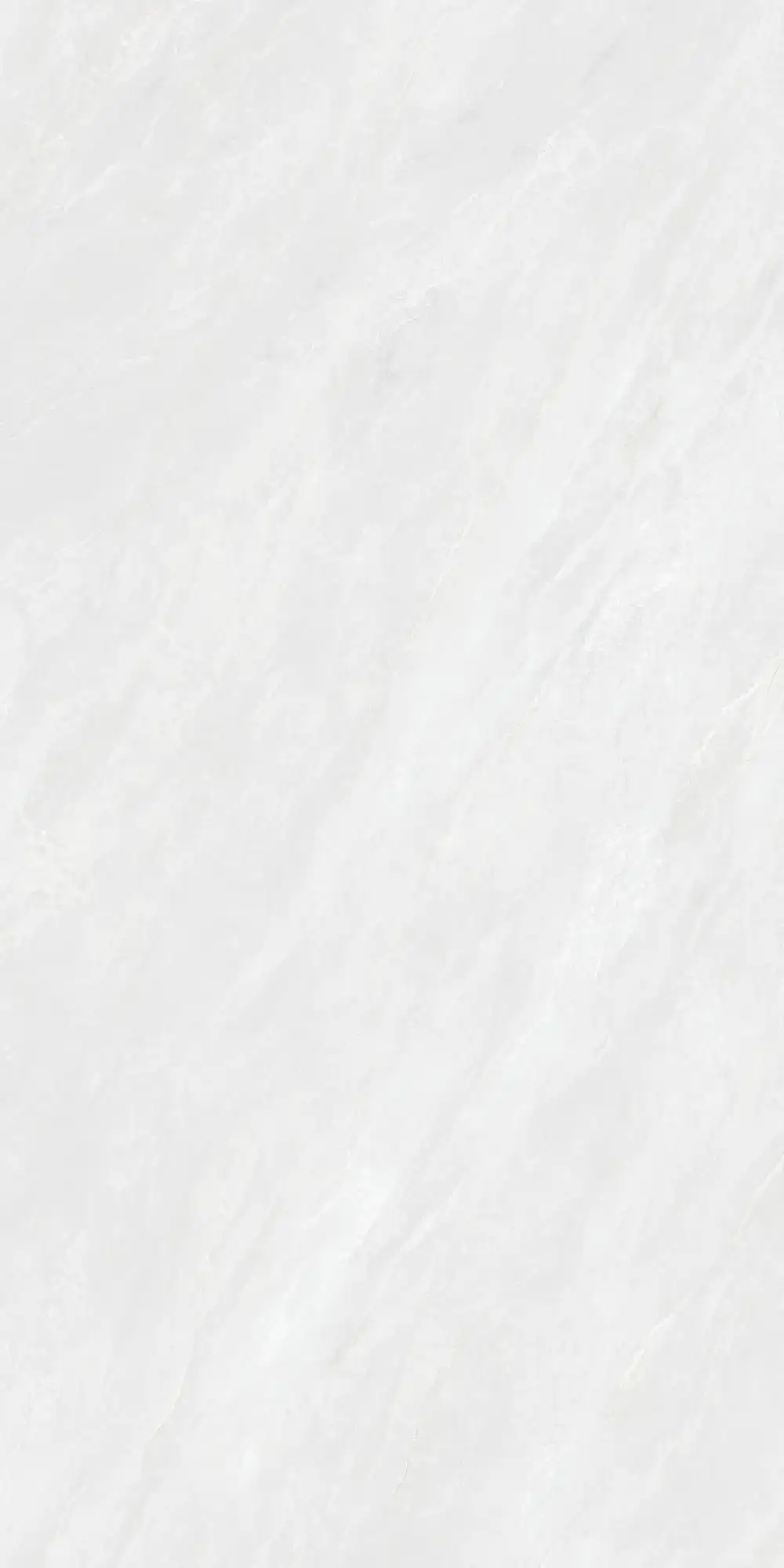 CA26 P61221