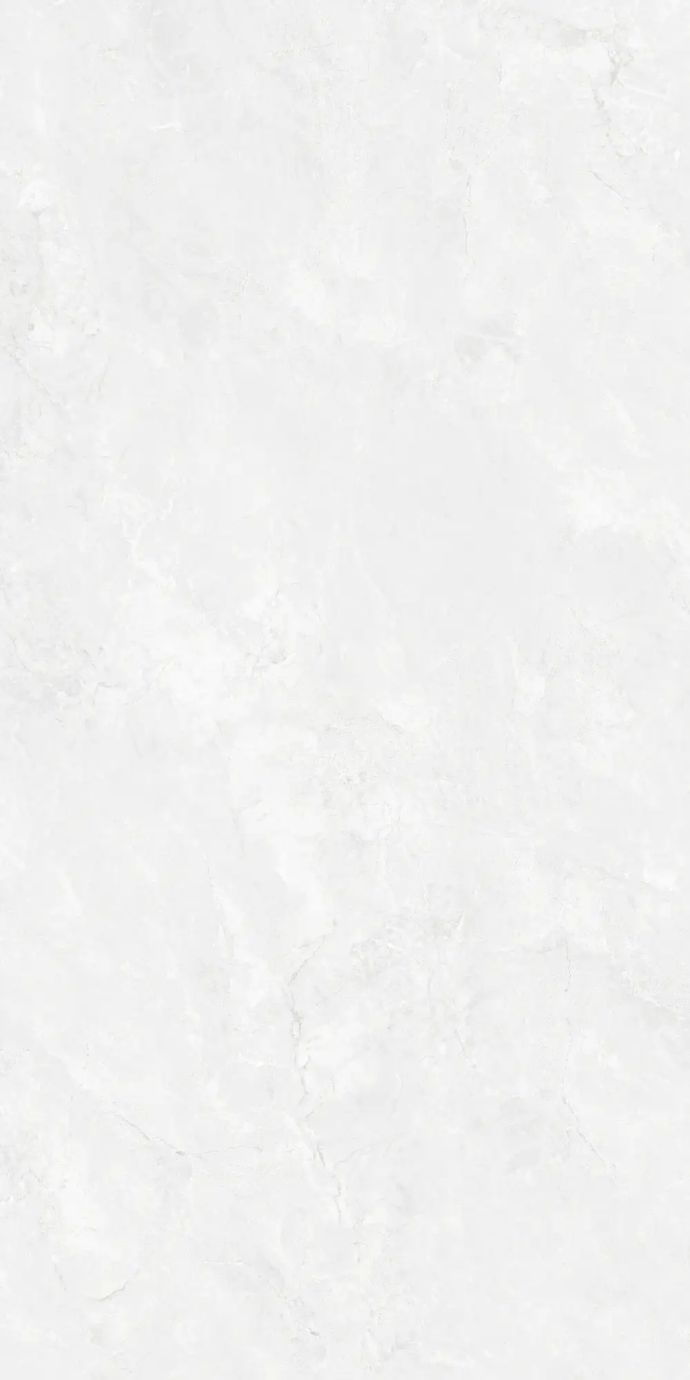 CA26 P61224