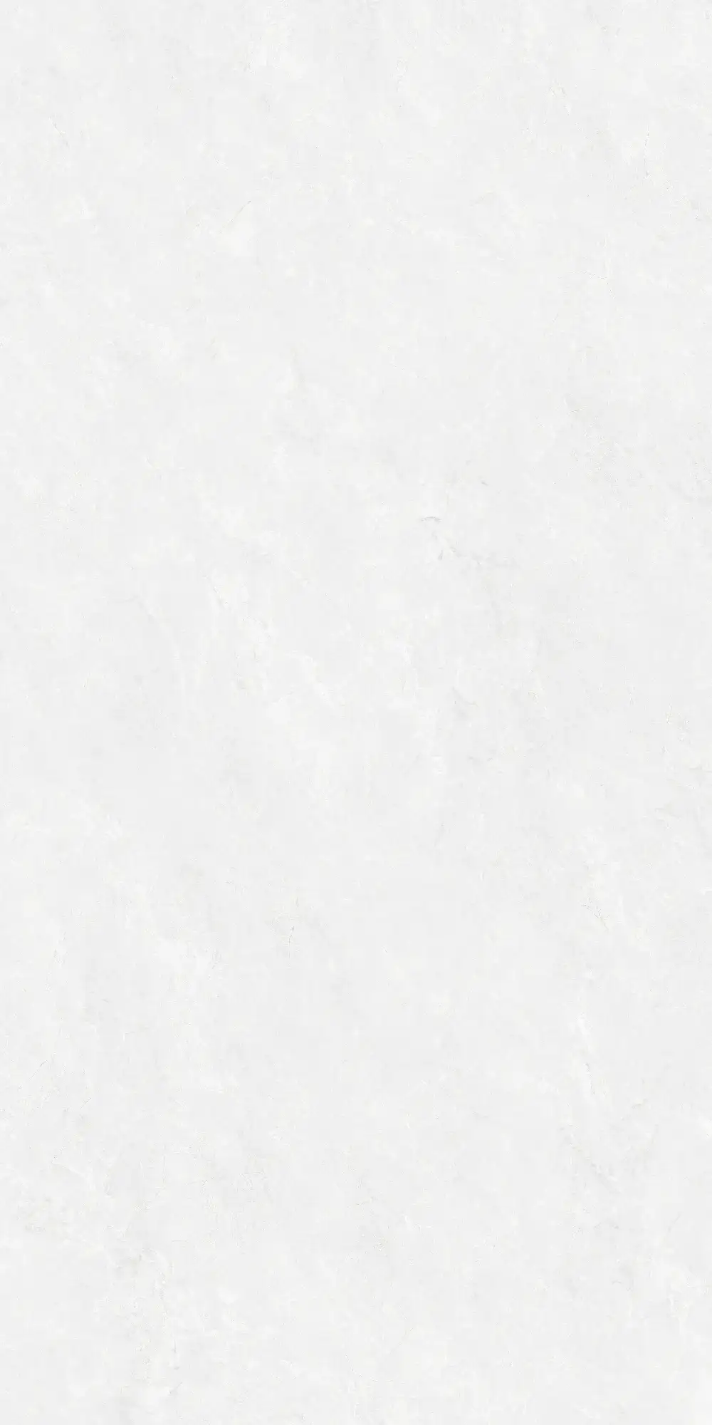 CA26 P61224