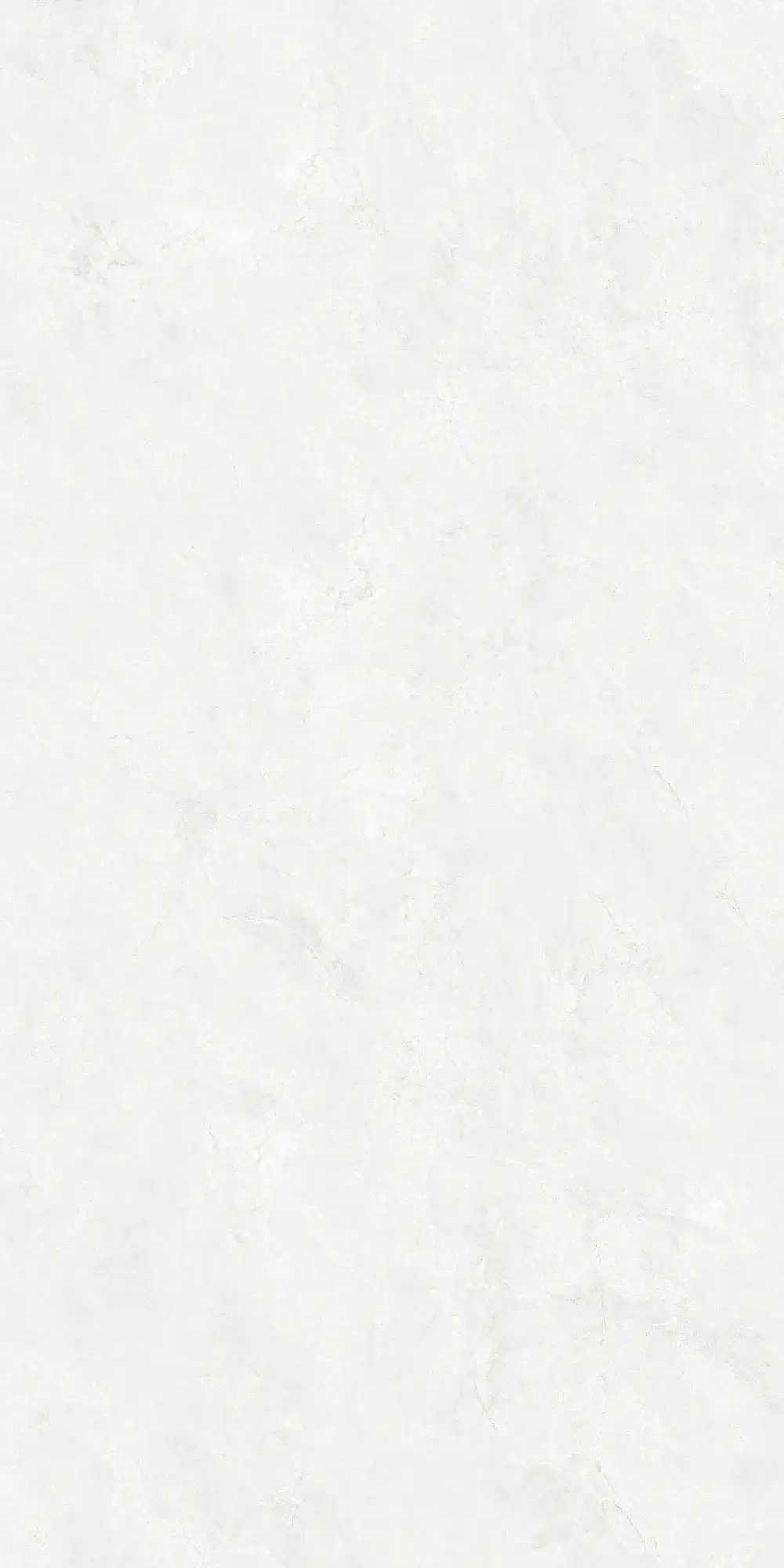CA26 P61224