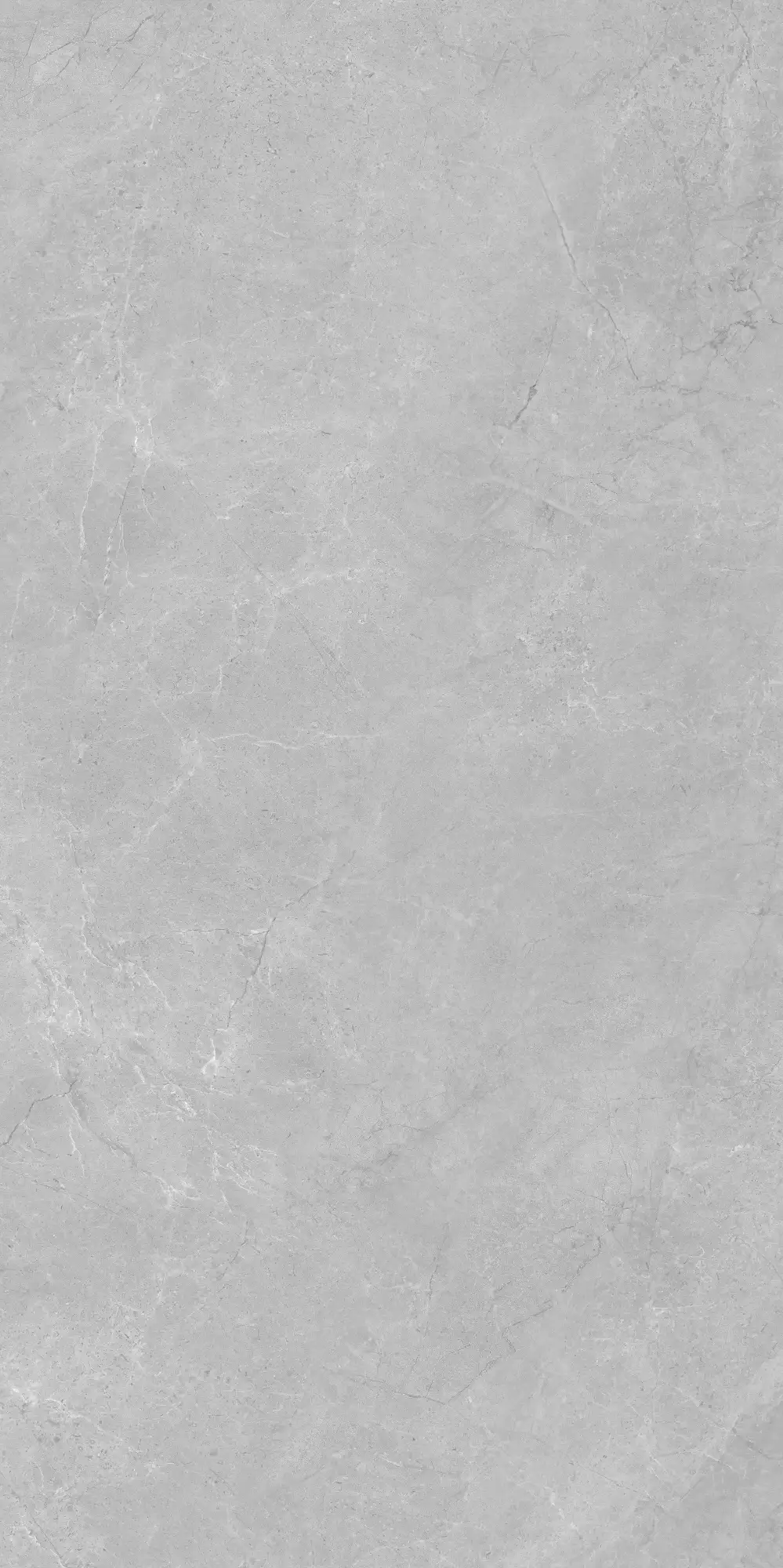 VA26 P61222