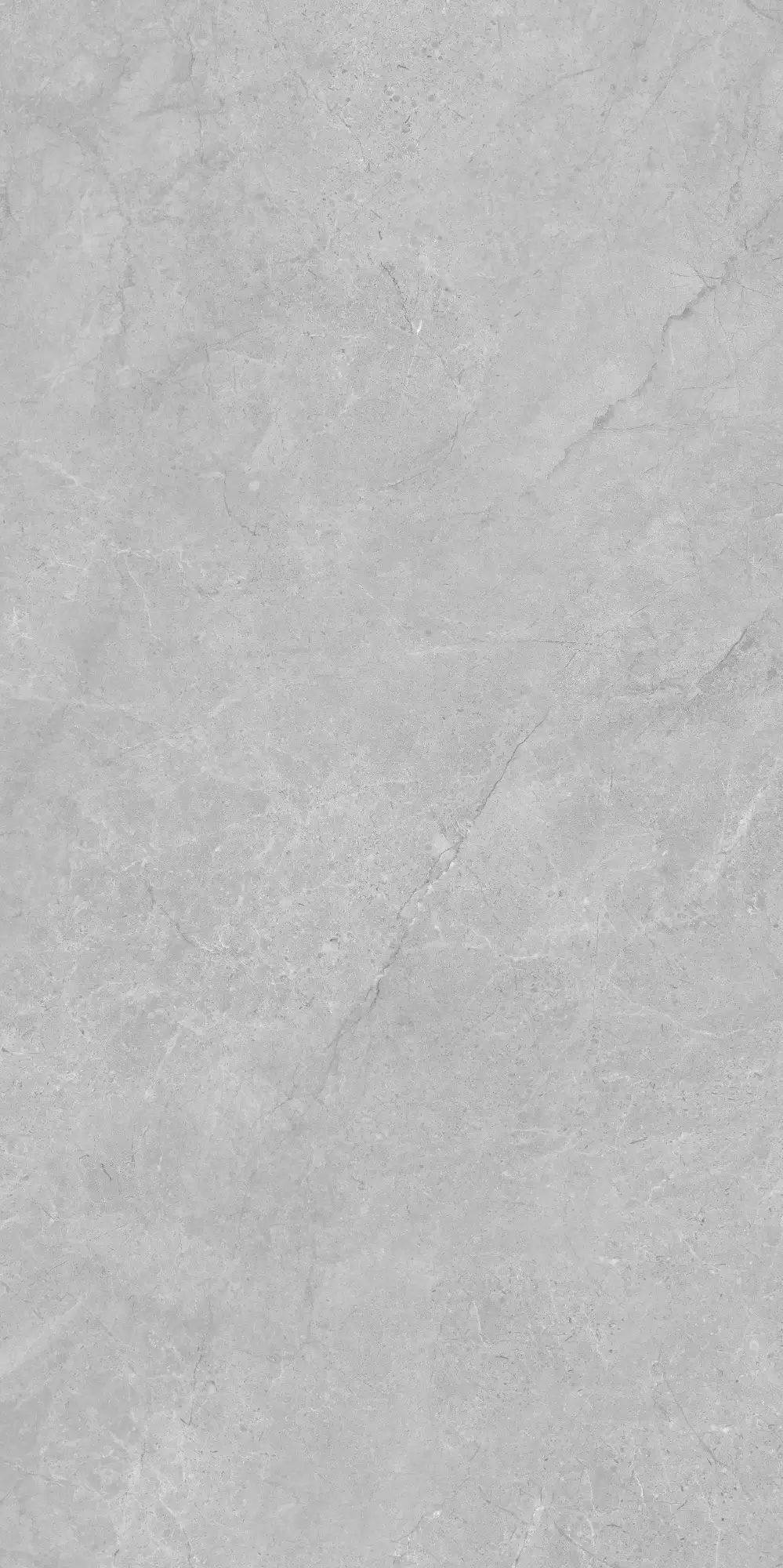 VA26 P61222