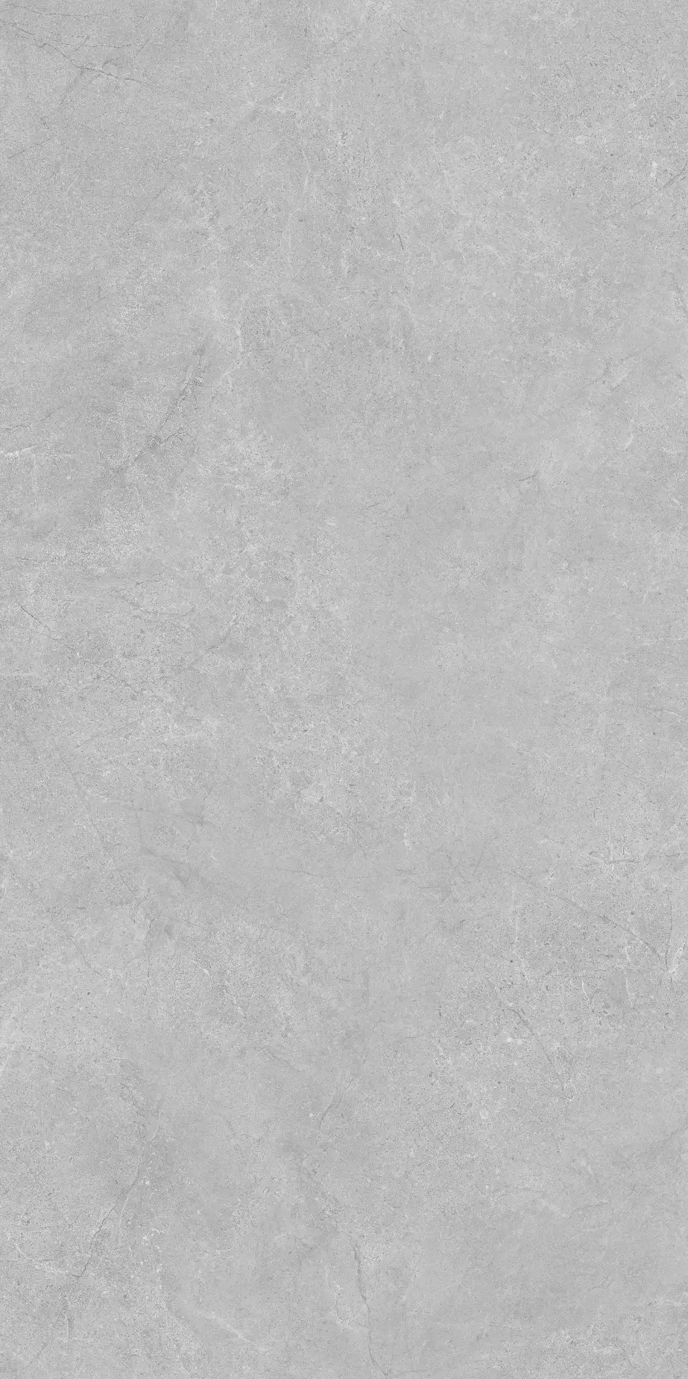 VA26 P61222