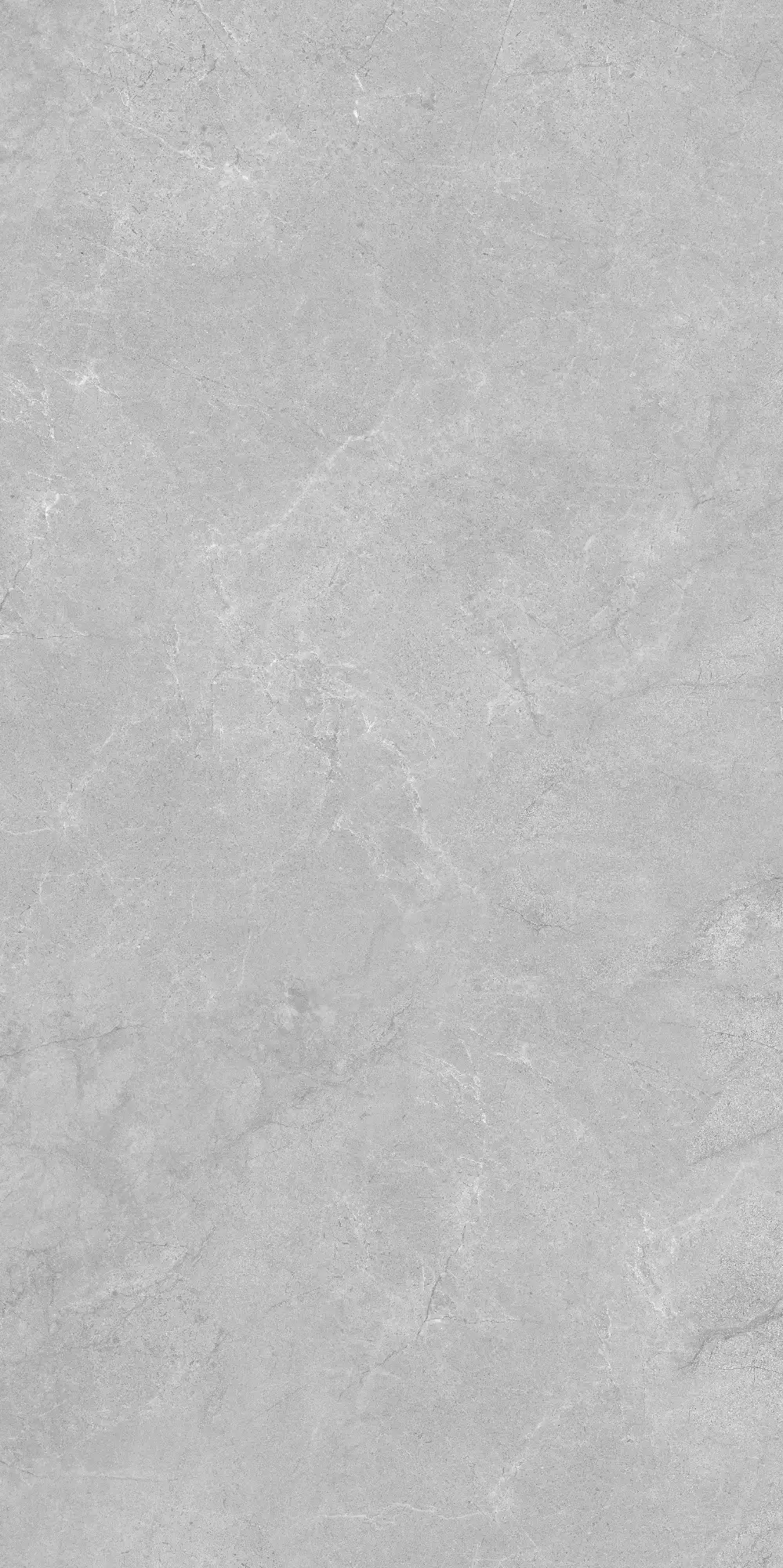 VA26 P61222
