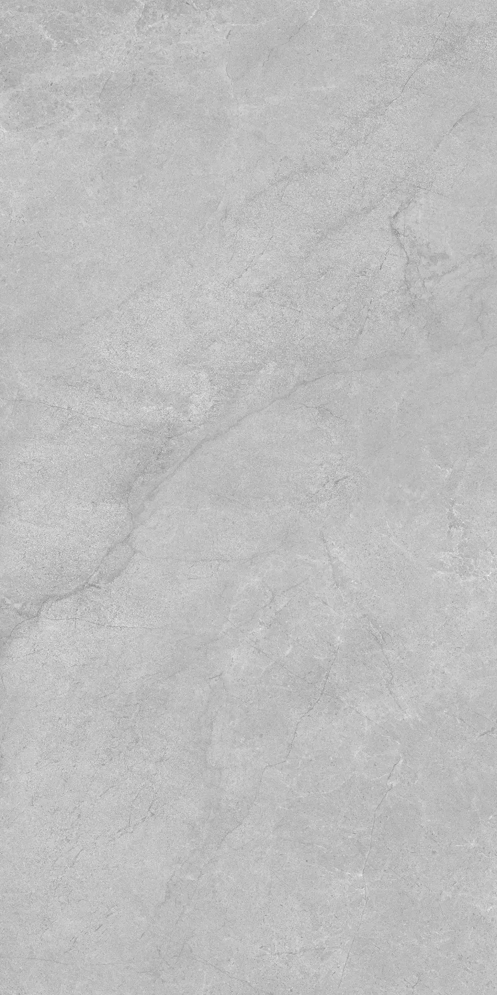 VA26 P61222
