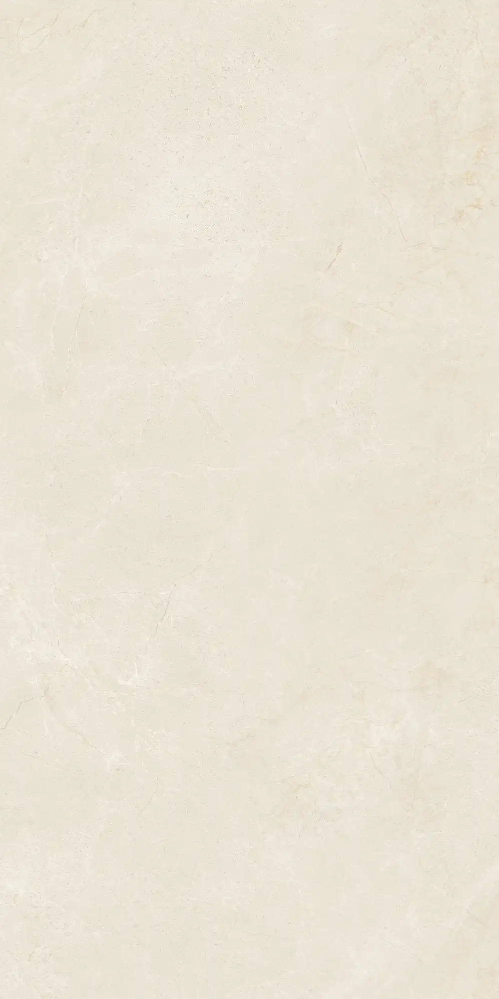 VA26 P61223