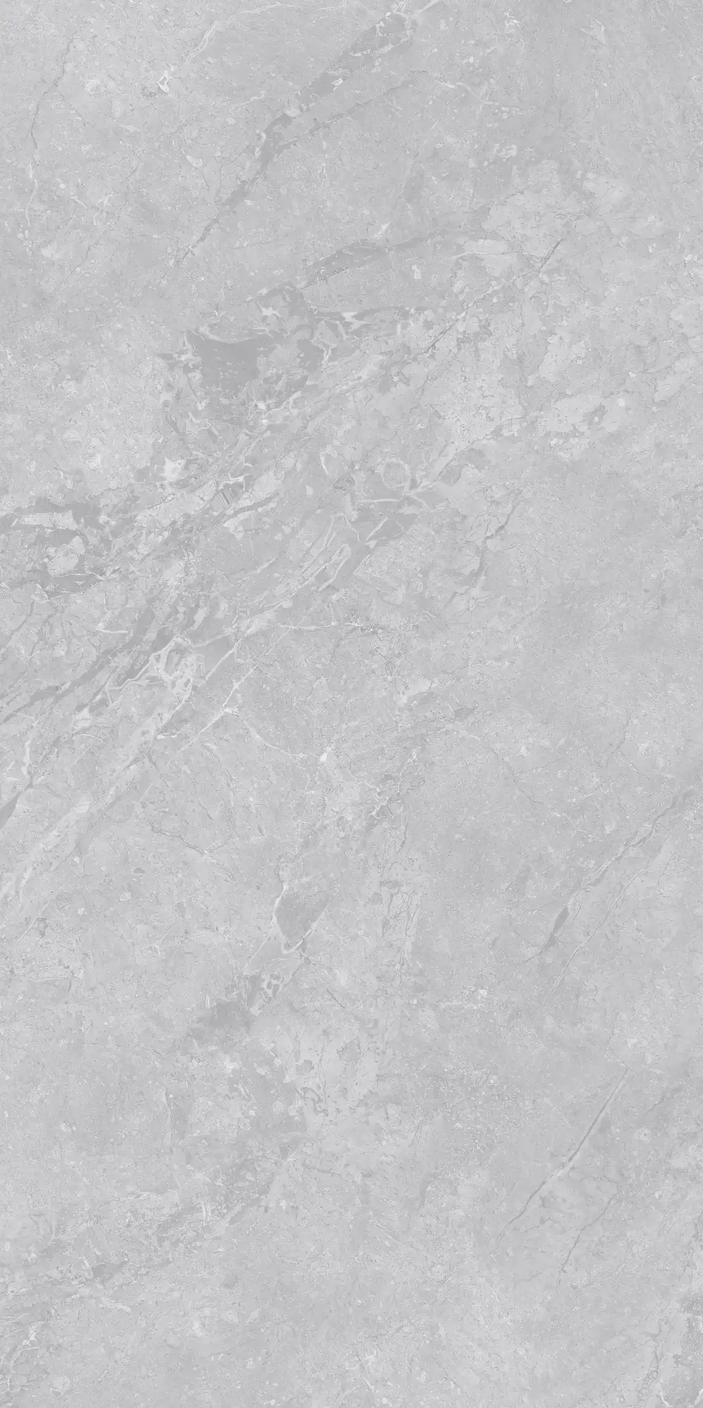 VA26 P61225