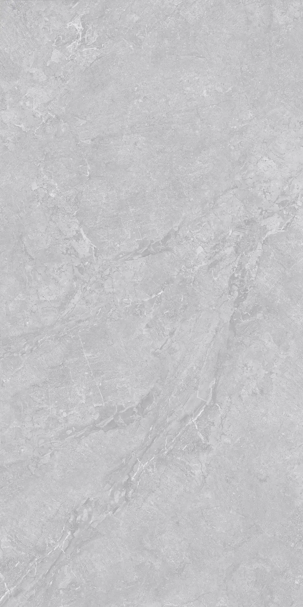 VA26 P61225