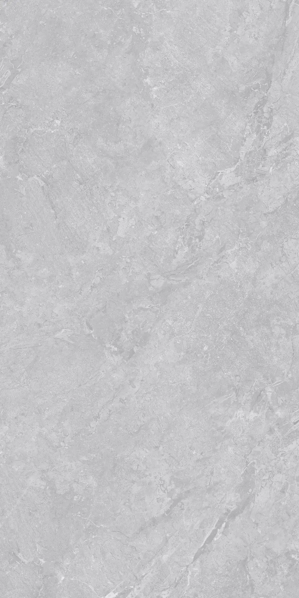 VA26 P61225