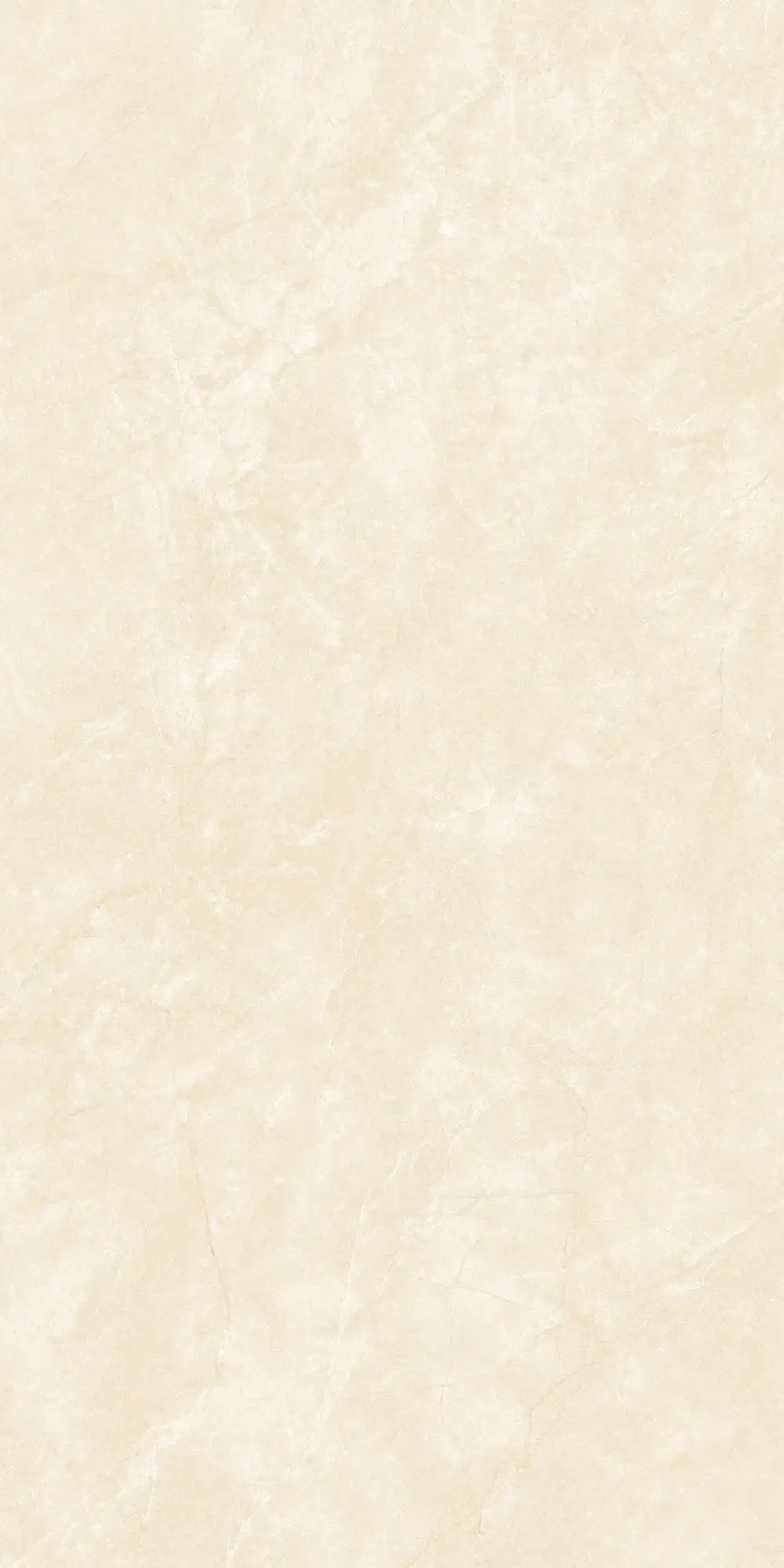 ASD4864GP