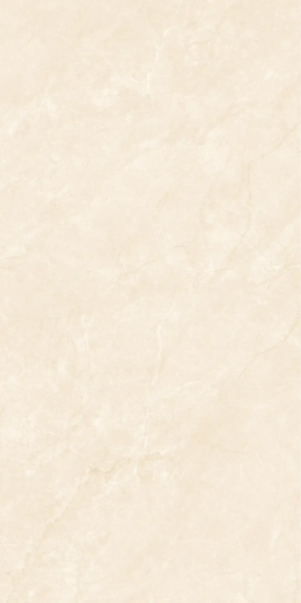 ASD4864GP