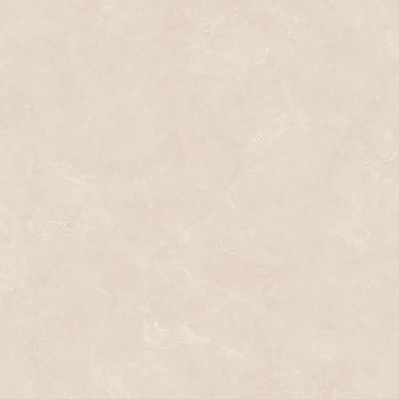 VA25-P101003